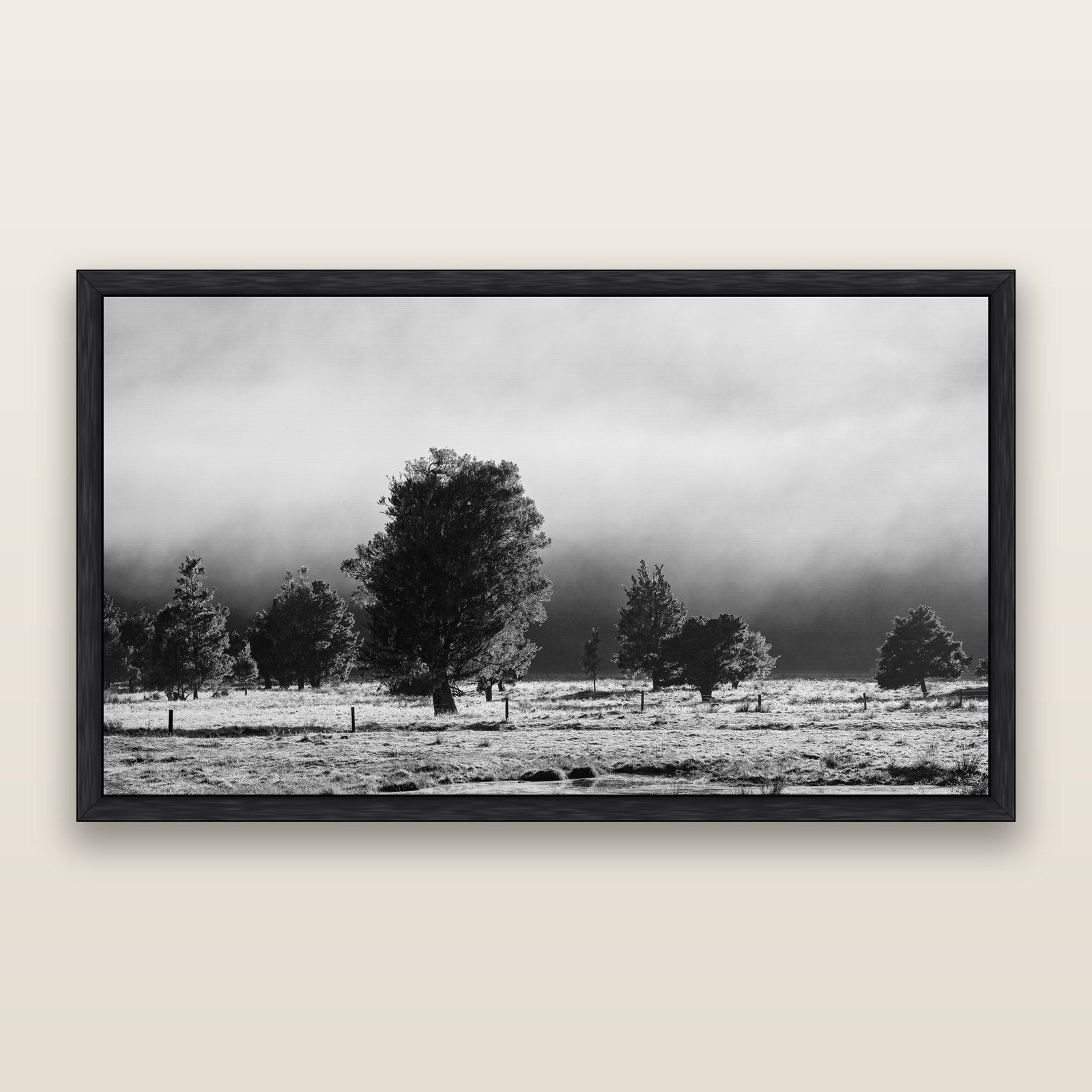 Morning Mist, Fox Valley, black and white framed metallic canvas print, Black frame. New Zealand fine art wall art by Stephen Milner.