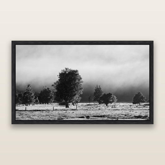 Morning Mist, Fox Valley, black and white framed metallic canvas print, Black frame. New Zealand fine art wall art by Stephen Milner.