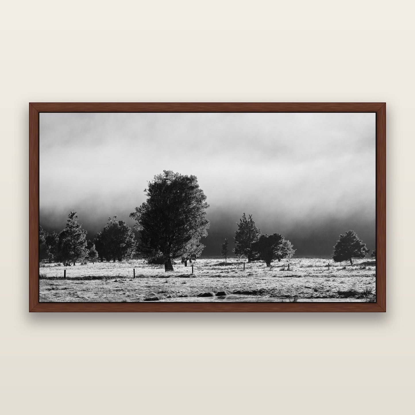 Morning Mist, Fox Valley, black and white framed metallic canvas print, Brown frame. New Zealand fine art wall art by Stephen Milner.
