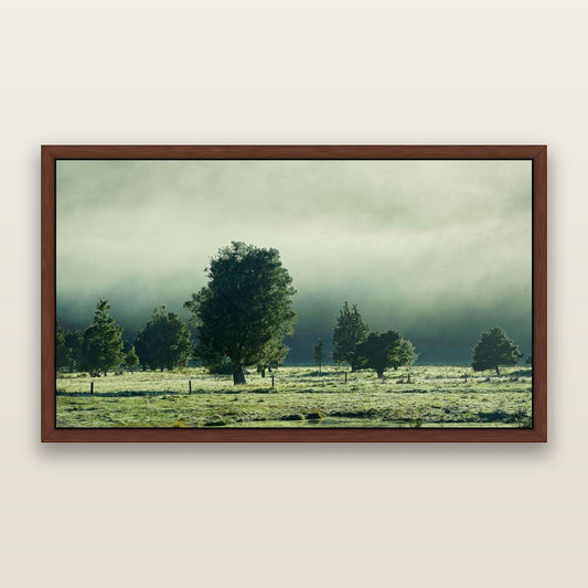 Emerald Mist, Fox Valley — framed metallic canvas print, Brown frame. New Zealand fine art landscape wall art by Stephen Milner.