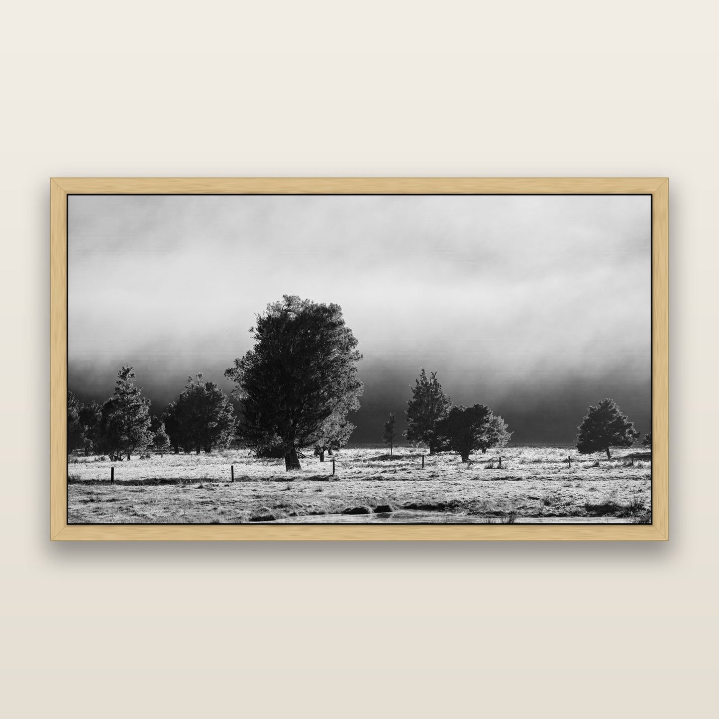 Morning Mist, Fox Valley, black and white framed metallic canvas print, Natural frame. New Zealand fine art wall art by Stephen Milner.