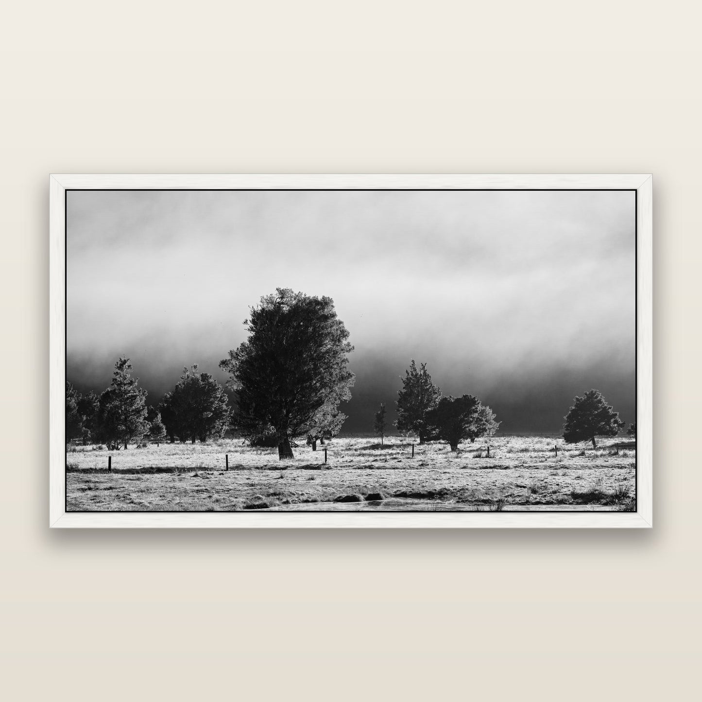 Morning Mist, Fox Valley, black and white framed metallic canvas print, White frame. New Zealand fine art wall art by Stephen Milner.