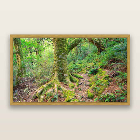 Enchanted Forest Path, Mt. Aspiring National Park — framed metallic canvas print, Antique Gold frame. New Zealand fine art landscape wall art by Stephen Milner.
