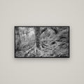 Enchanted Forest Path, Mt. Aspiring National Park — Basel Black, 107×60 cm. New Zealand fine art wall art by Stephen Milner.