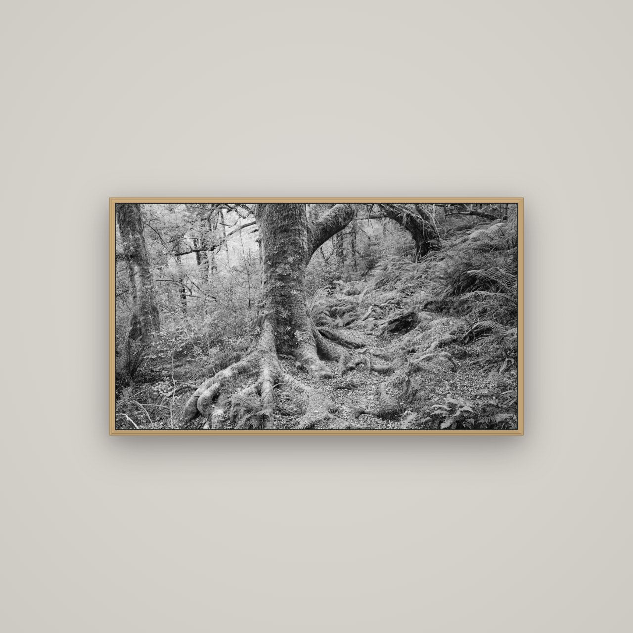 Enchanted Forest Path, Mt. Aspiring National Park, Basel Natural Oak, 107×60 cm. New Zealand fine art wall art by Stephen Milner.