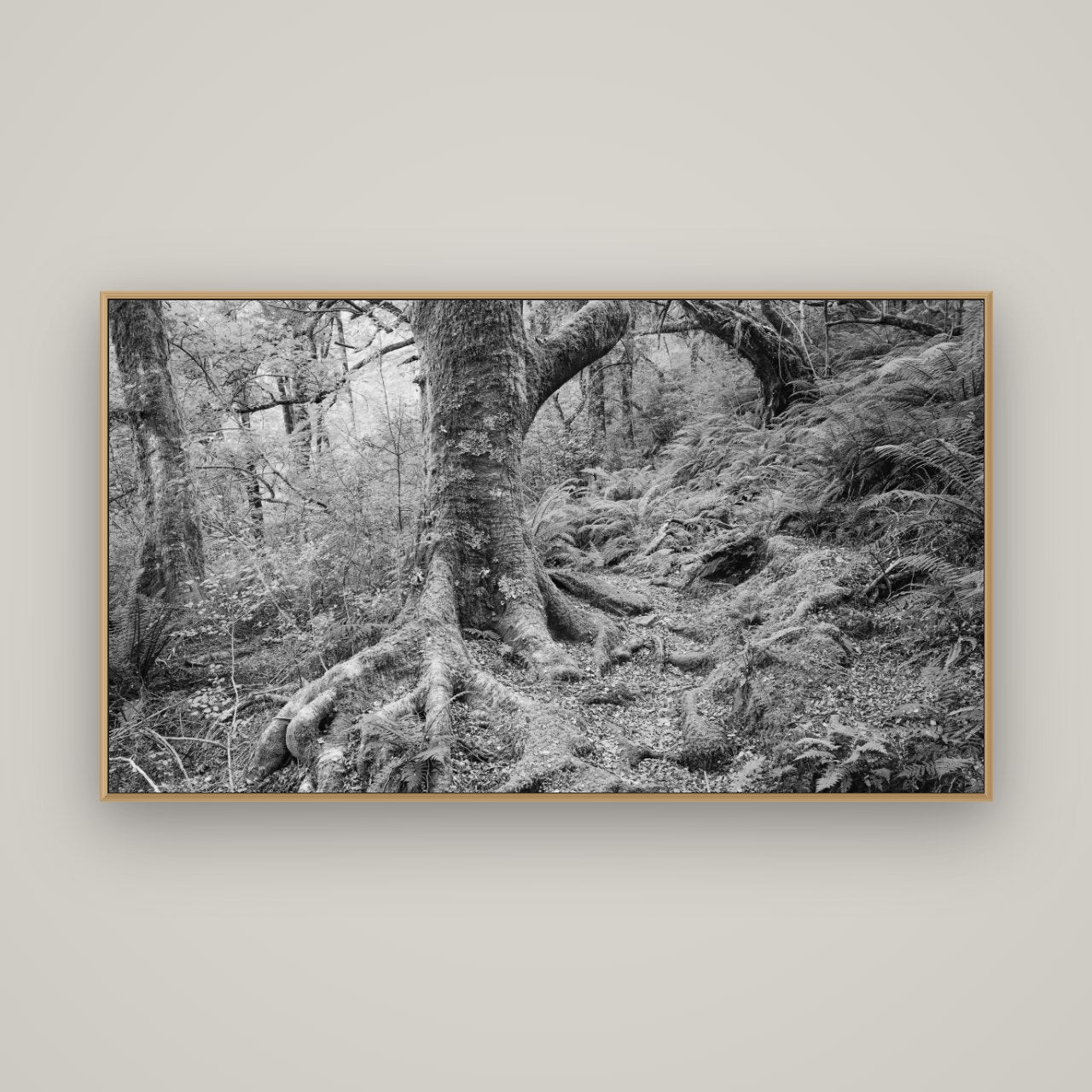 Enchanted Forest Path, Mt. Aspiring National Park, Basel Natural Oak, 160×90 cm. New Zealand fine art wall art by Stephen Milner.
