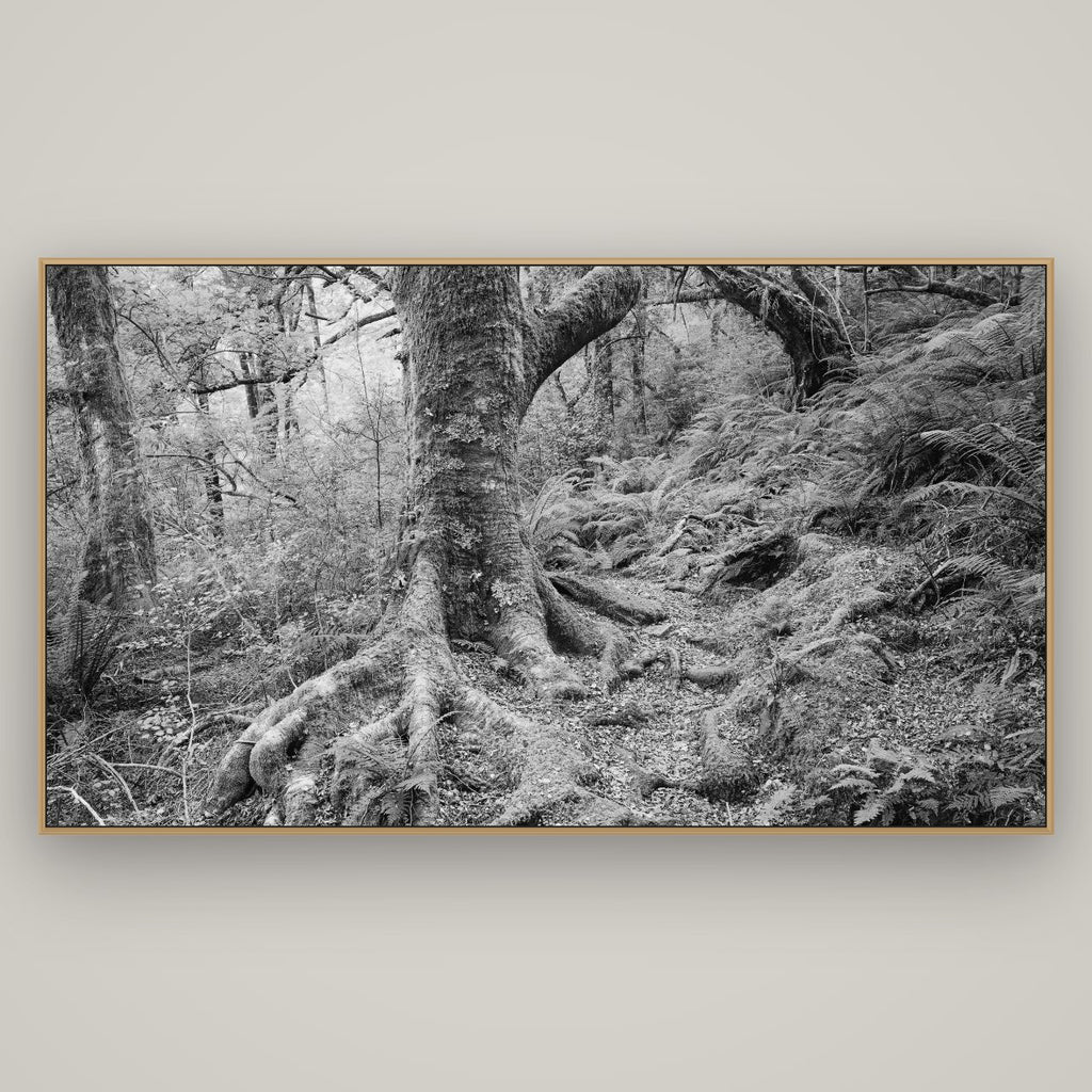 Enchanted Forest Path, Mt. Aspiring National Park, Basel Natural Oak, 196×110 cm. New Zealand fine art wall art by Stephen Milner.