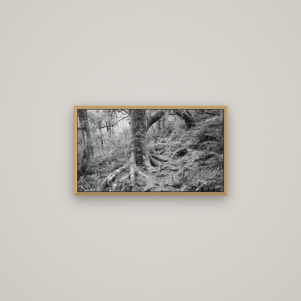 Enchanted Forest Path, Mt. Aspiring National Park, Basel Natural Oak, 64×36 cm. New Zealand fine art wall art by Stephen Milner.