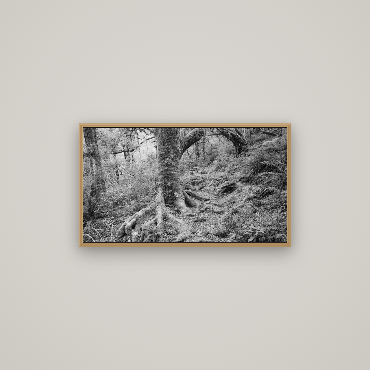Enchanted Forest Path, Mt. Aspiring National Park, Basel Natural Oak, 80×45 cm. New Zealand fine art wall art by Stephen Milner.