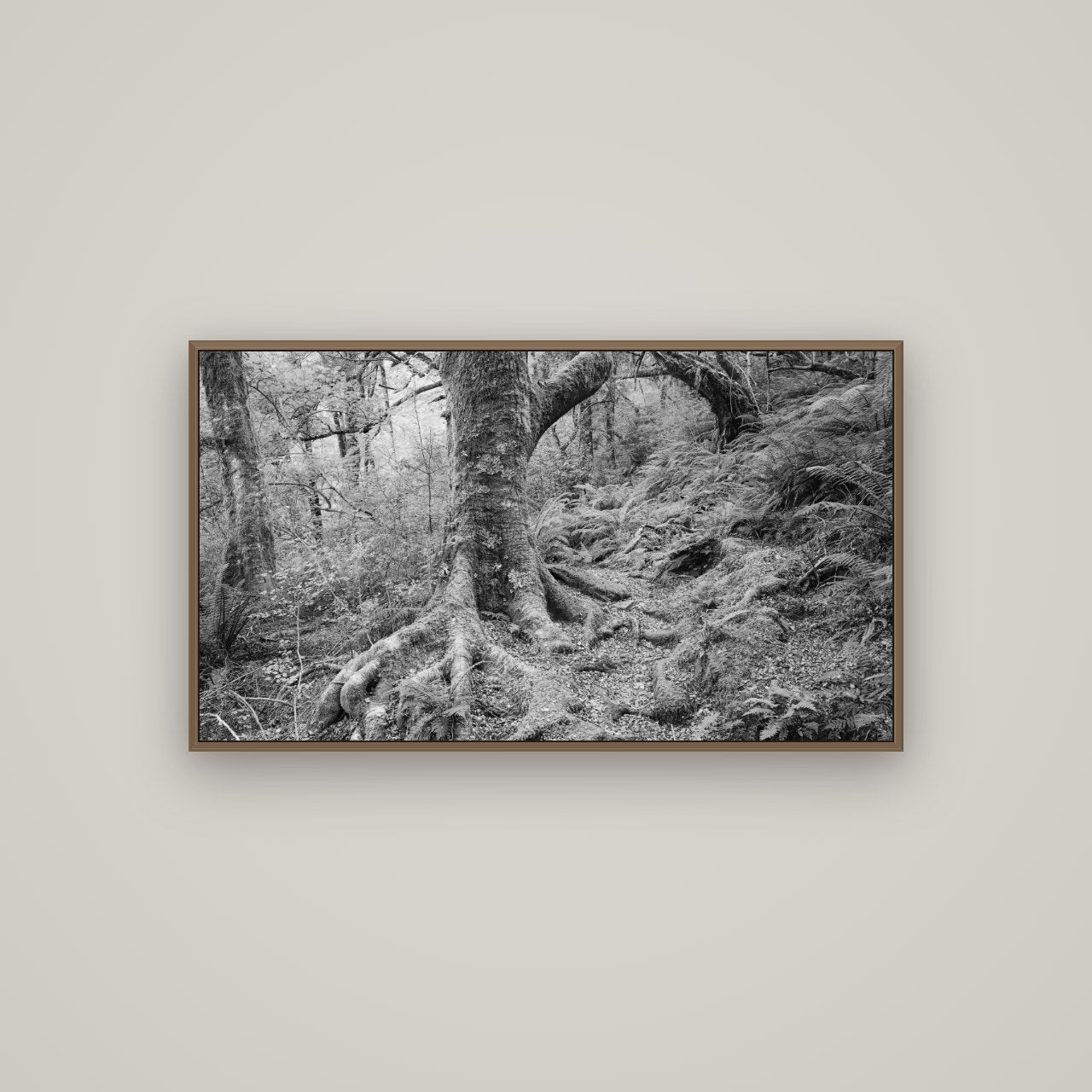 Enchanted Forest Path, Mt. Aspiring National Park, Basel Walnut, 107×60 cm. New Zealand fine art wall art by Stephen Milner.