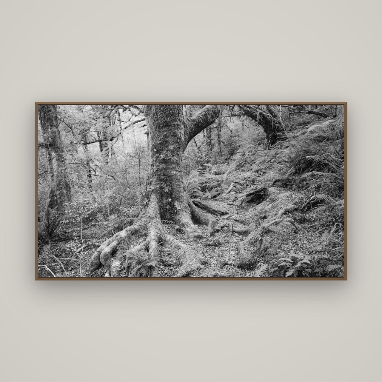Enchanted Forest Path, Mt. Aspiring National Park, Basel Walnut, 160×90 cm. New Zealand fine art wall art by Stephen Milner.