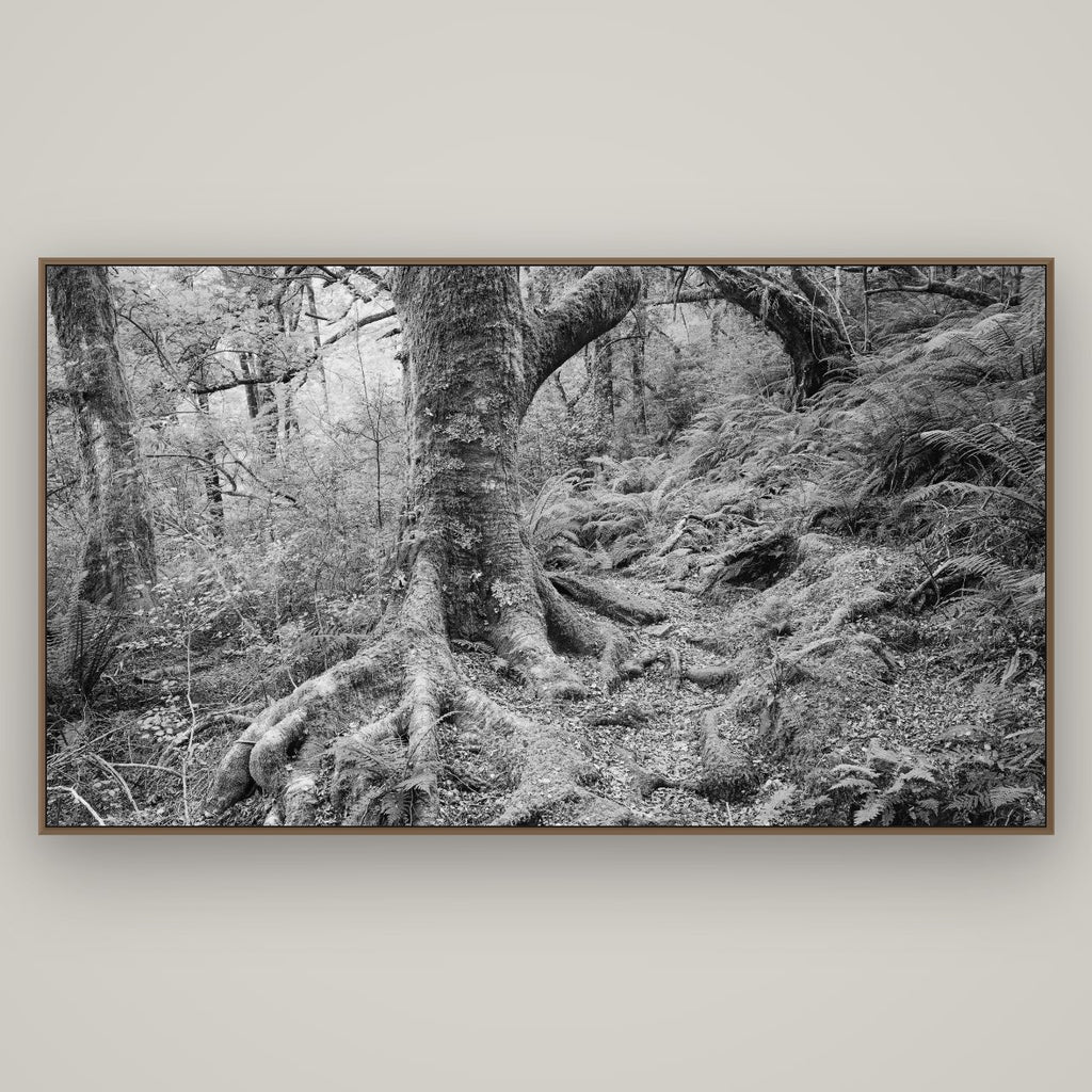 Enchanted Forest Path, Mt. Aspiring National Park, Basel Walnut, 196×110 cm. New Zealand fine art wall art by Stephen Milner.