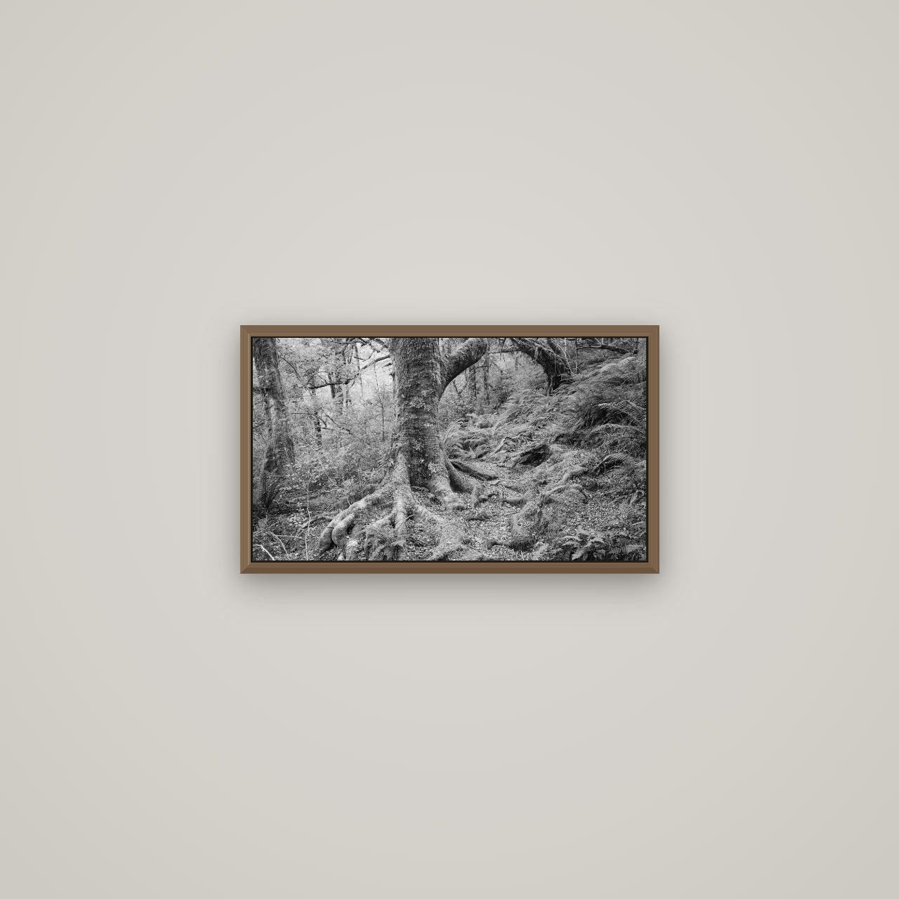 Enchanted Forest Path, Mt. Aspiring National Park, Basel Walnut, 53×30 cm. New Zealand fine art wall art by Stephen Milner.