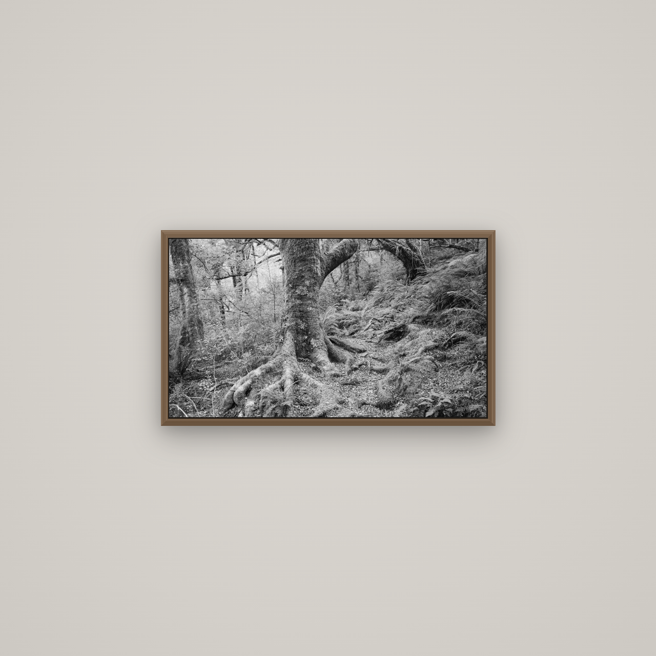 Enchanted Forest Path, Mt. Aspiring National Park, Basel Walnut, 64×36 cm. New Zealand fine art wall art by Stephen Milner.