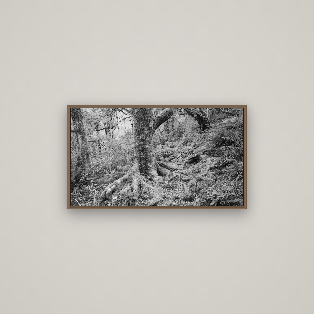 Enchanted Forest Path, Mt. Aspiring National Park, Basel Walnut, 80×45 cm. New Zealand fine art wall art by Stephen Milner.