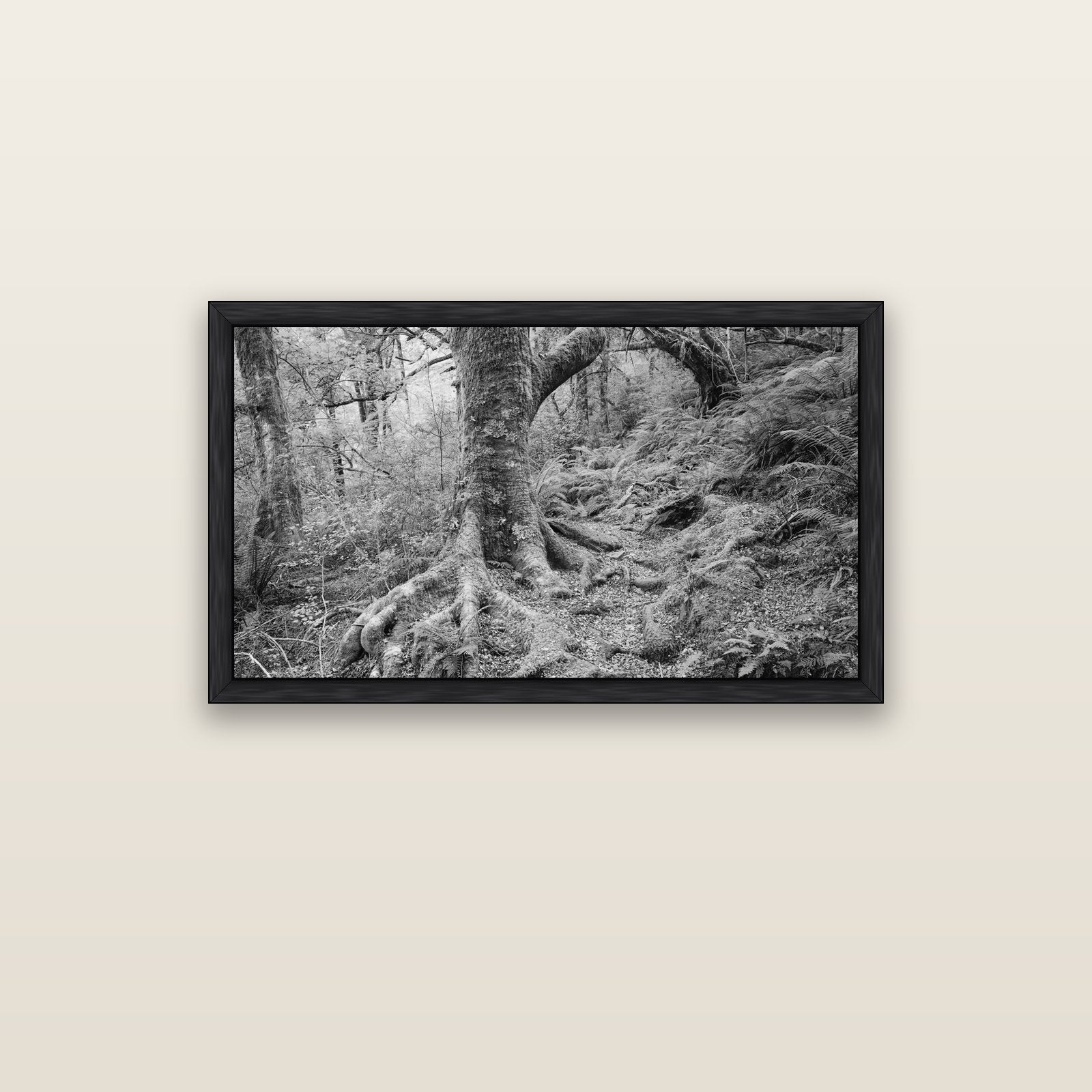 Enchanted Forest Path, Mt. Aspiring National Park — black float frame canvas, 102 × 56 cm. New Zealand fine art landscape wall art by Stephen Milner.