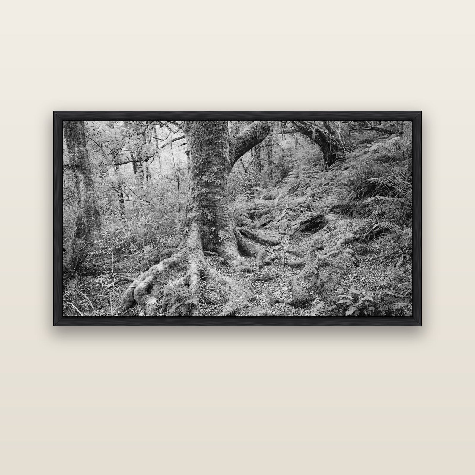 Enchanted Forest Path, Mt. Aspiring National Park — black float frame canvas, 152 × 86 cm. New Zealand fine art landscape wall art by Stephen Milner.