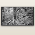 Enchanted Forest Path, Mt. Aspiring National Park — black float frame canvas, 200 × 130 cm. New Zealand fine art landscape wall art by Stephen Milner.