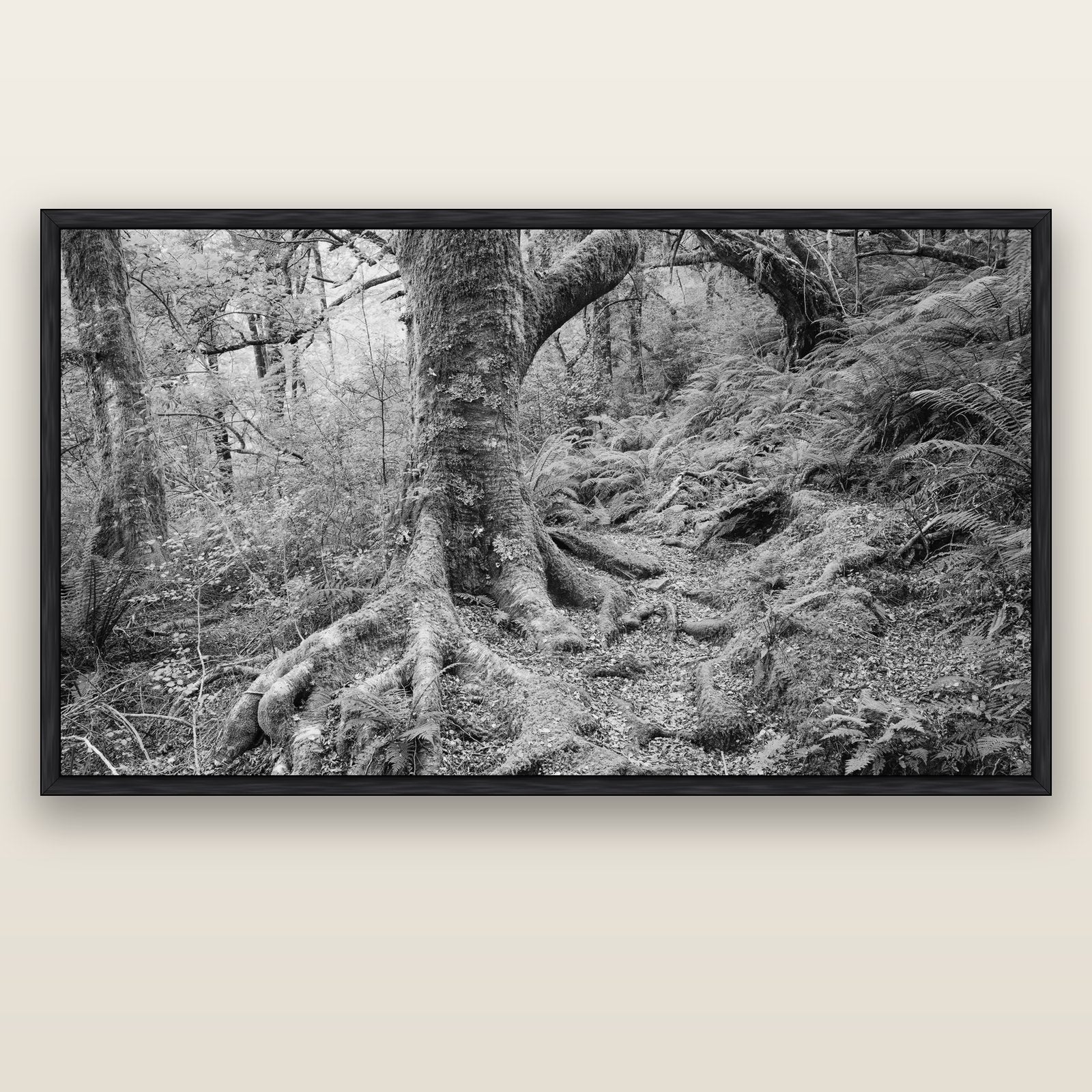 Enchanted Forest Path, Mt. Aspiring National Park — black float frame canvas, 200 × 130 cm. New Zealand fine art landscape wall art by Stephen Milner.
