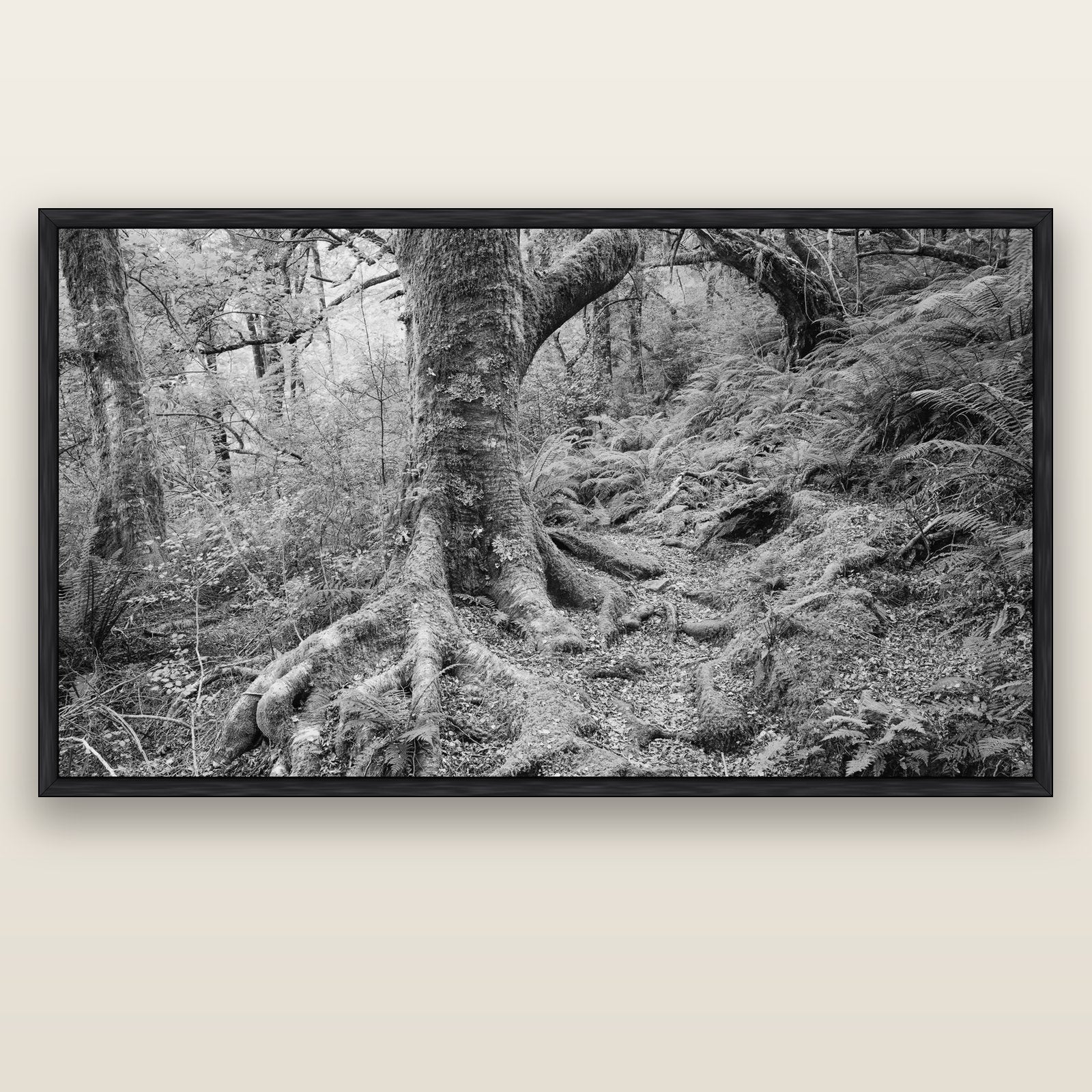Enchanted Forest Path, Mt. Aspiring National Park — black float frame canvas, 201 × 99 cm. New Zealand fine art landscape wall art by Stephen Milner.