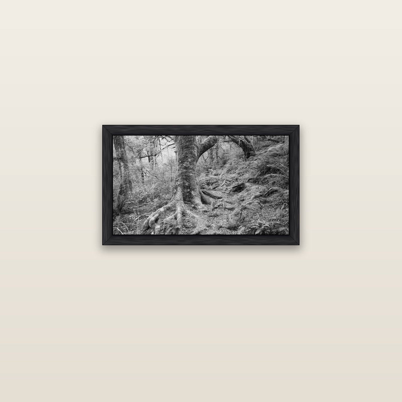 Enchanted Forest Path, Mt. Aspiring National Park — black float frame canvas, 61 × 36 cm. New Zealand fine art landscape wall art by Stephen Milner.