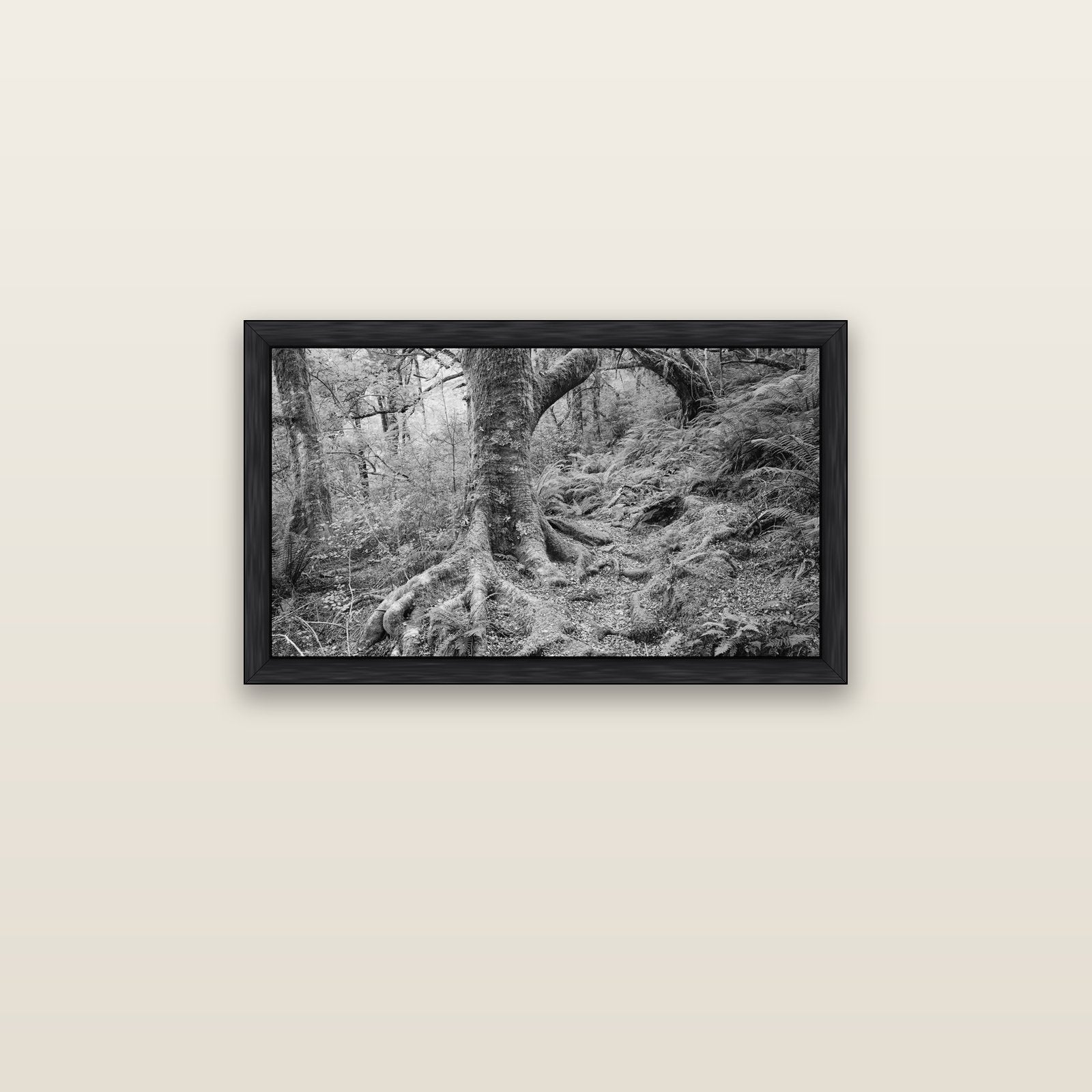 Enchanted Forest Path, Mt. Aspiring National Park — black float frame canvas, 81 × 46 cm. New Zealand fine art landscape wall art by Stephen Milner.