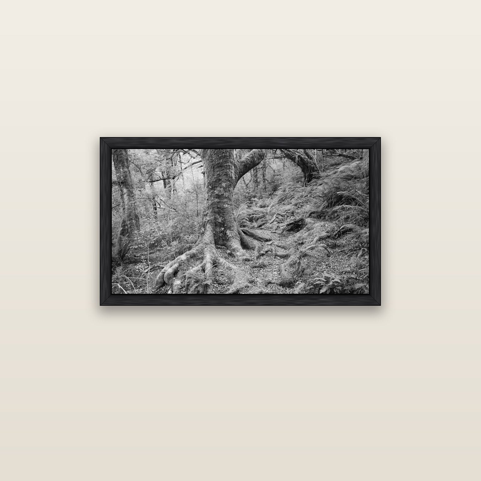 Enchanted Forest Path, Mt. Aspiring National Park — black float frame canvas, 91 × 51 cm. New Zealand fine art landscape wall art by Stephen Milner.
