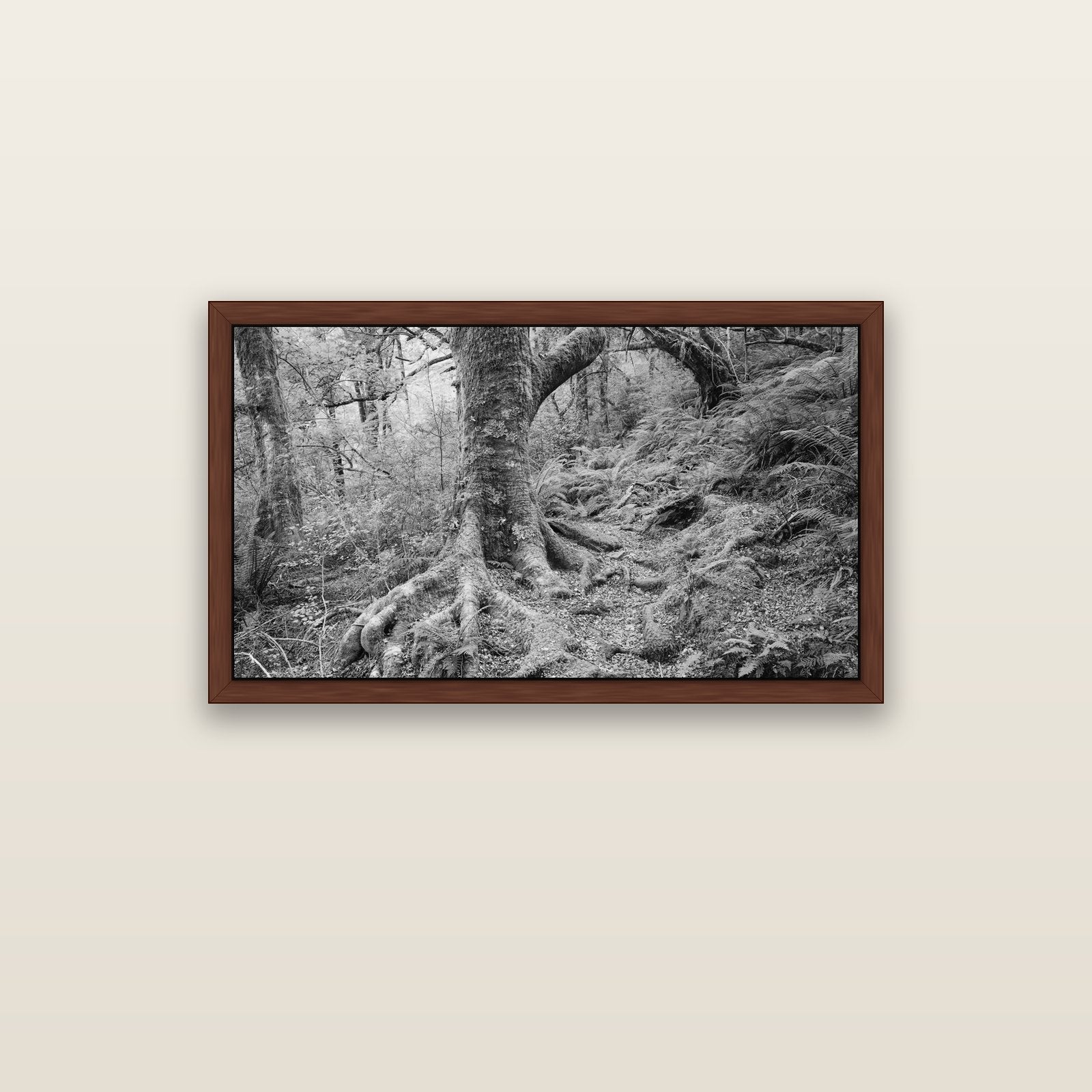 Enchanted Forest Path, Mt. Aspiring National Park — brown float frame canvas, 102 × 56 cm. New Zealand fine art landscape wall art by Stephen Milner.