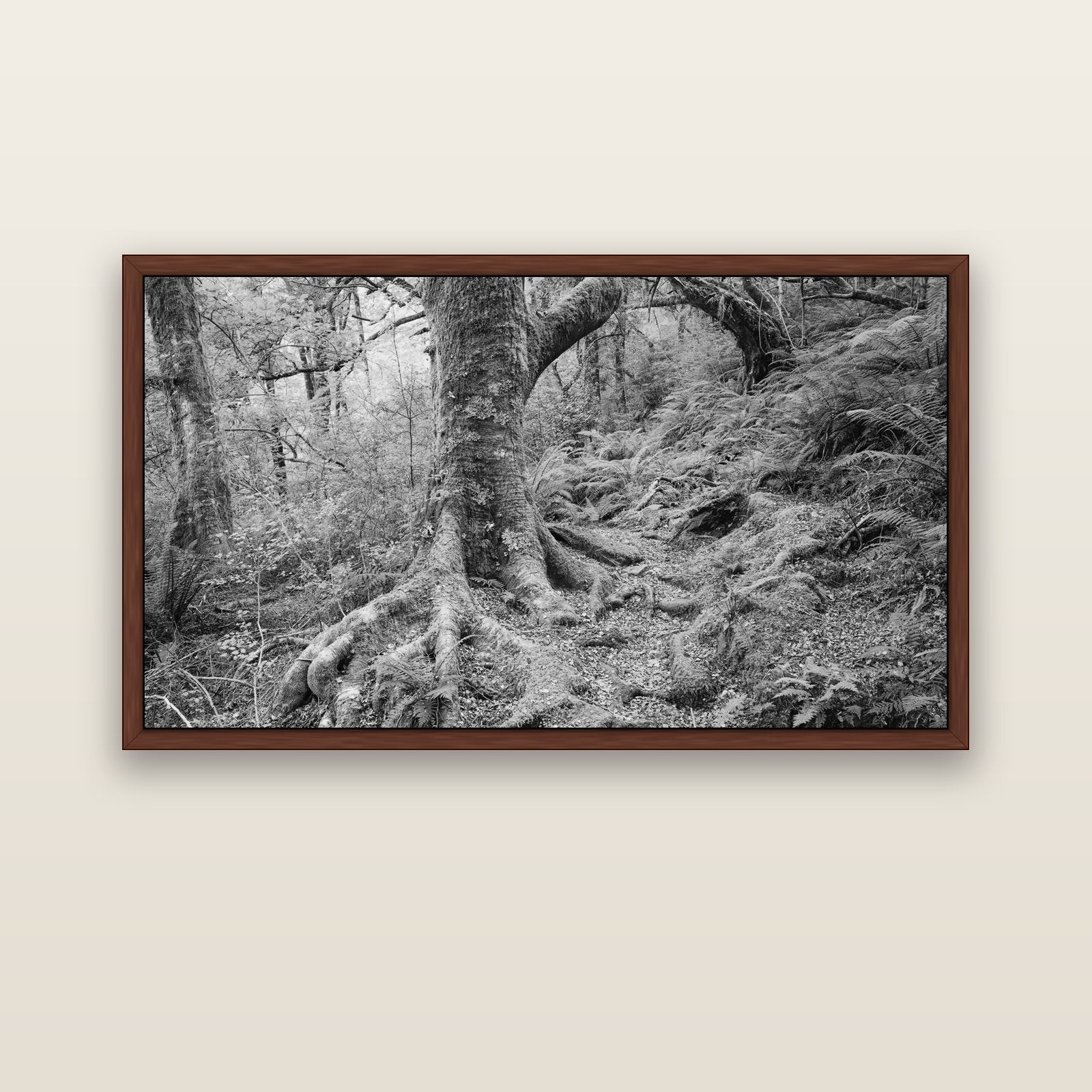 Enchanted Forest Path, Mt. Aspiring National Park — brown float frame canvas, 152 × 86 cm. New Zealand fine art landscape wall art by Stephen Milner.