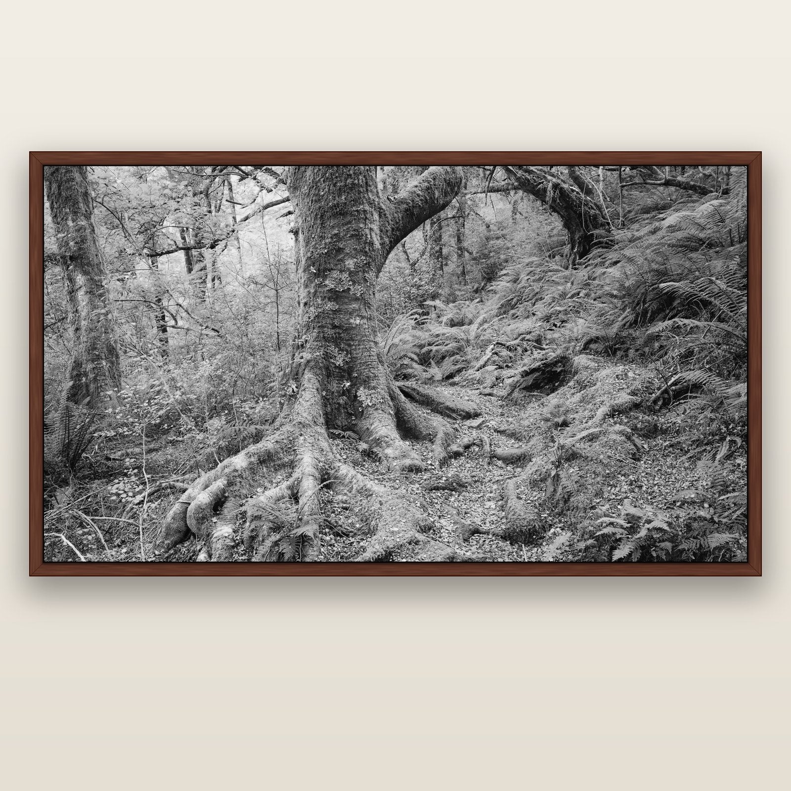 Enchanted Forest Path, Mt. Aspiring National Park — brown float frame canvas, 200 × 130 cm. New Zealand fine art landscape wall art by Stephen Milner.