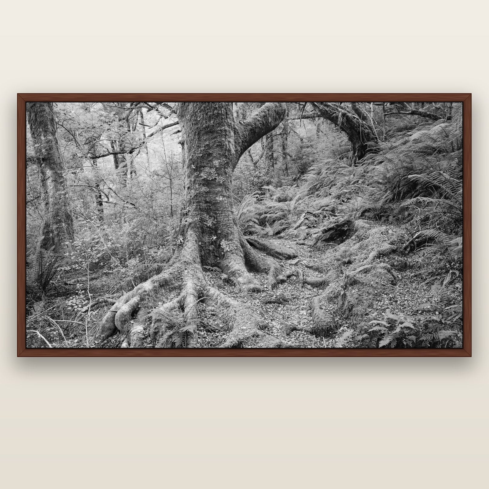 Enchanted Forest Path, Mt. Aspiring National Park — brown float frame canvas, 201 × 99 cm. New Zealand fine art landscape wall art by Stephen Milner.