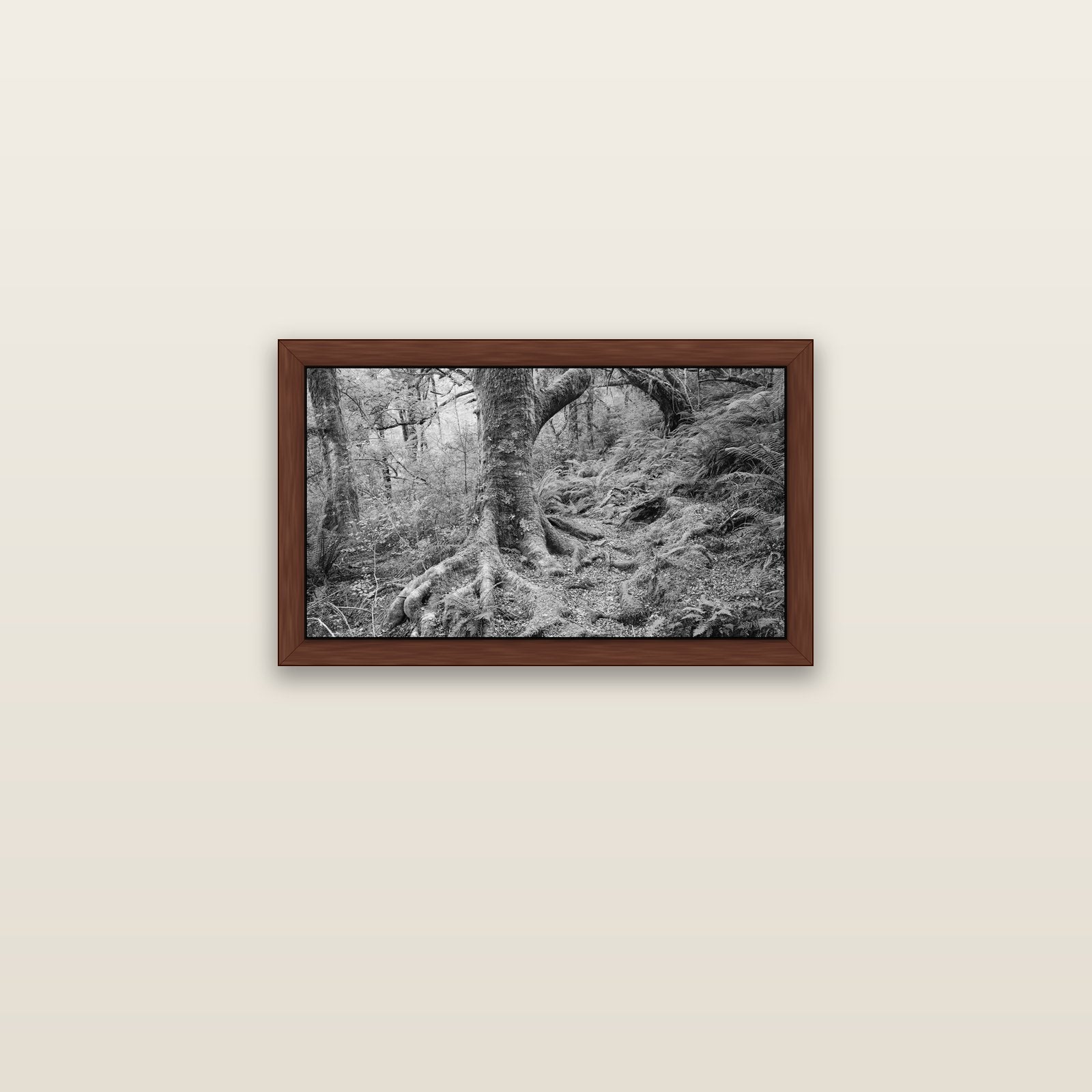 Enchanted Forest Path, Mt. Aspiring National Park — brown float frame canvas, 61 × 36 cm. New Zealand fine art landscape wall art by Stephen Milner.
