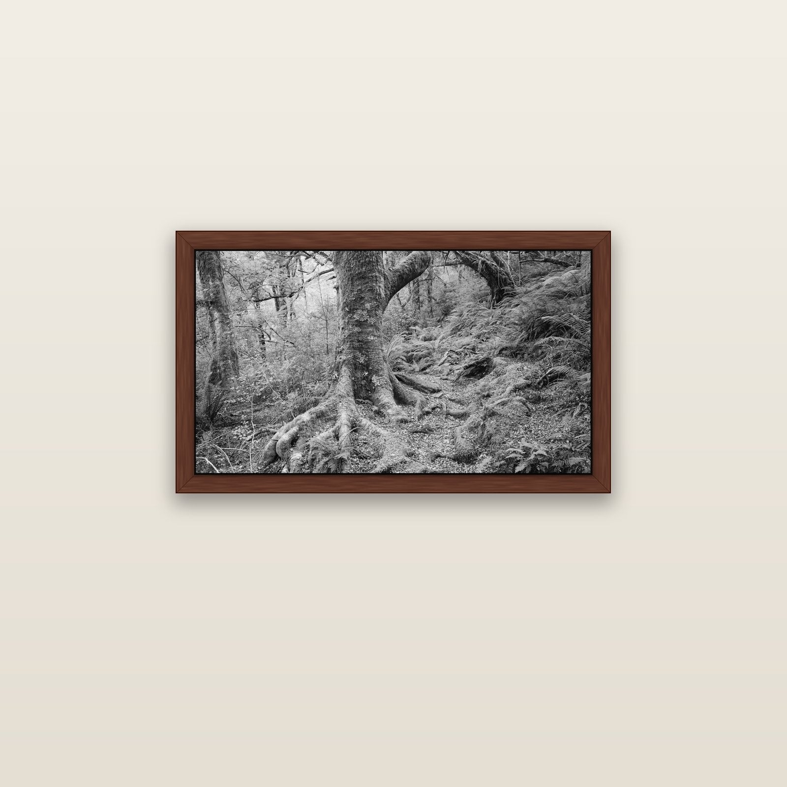 Enchanted Forest Path, Mt. Aspiring National Park — brown float frame canvas, 81 × 46 cm. New Zealand fine art landscape wall art by Stephen Milner.