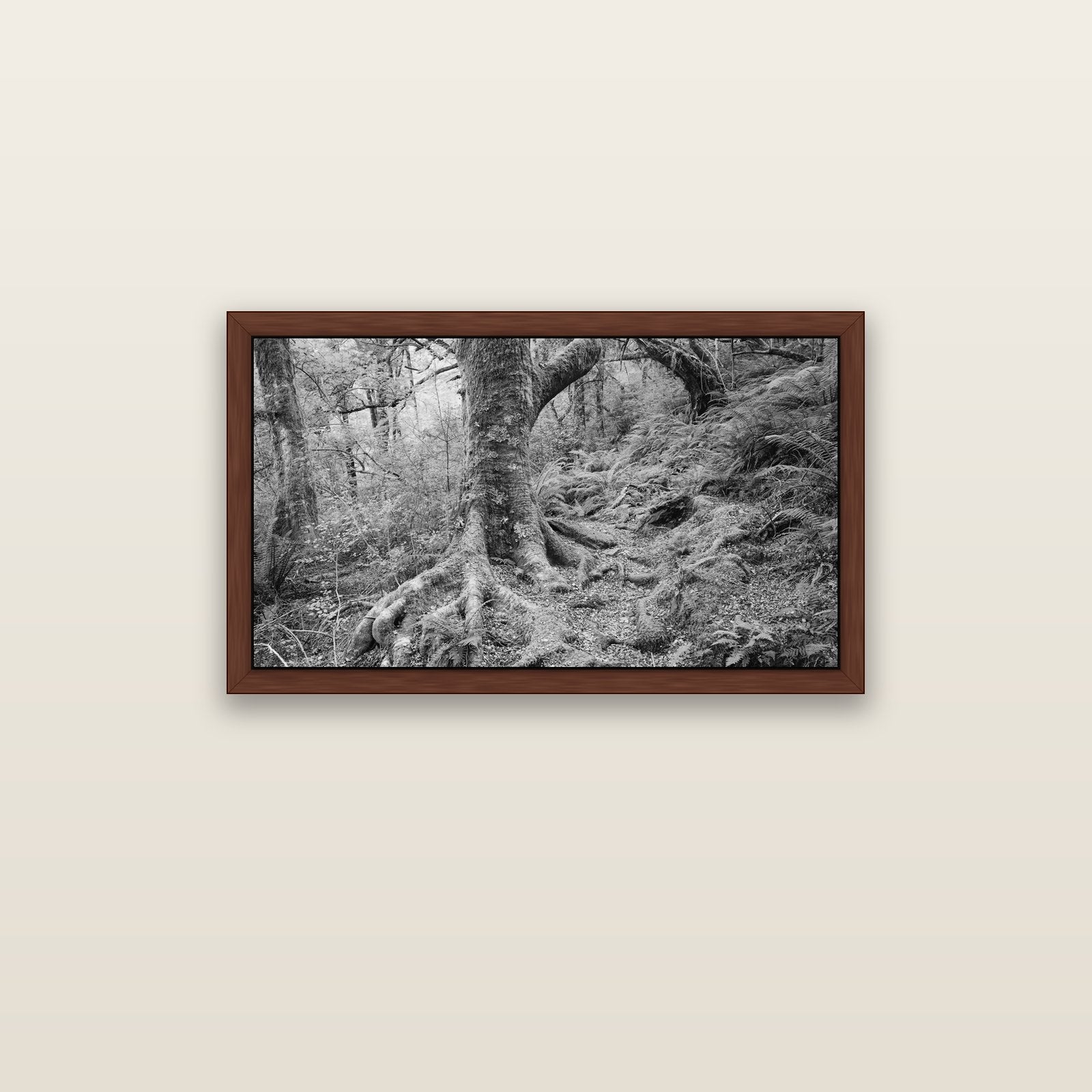Enchanted Forest Path, Mt. Aspiring National Park — brown float frame canvas, 91 × 51 cm. New Zealand fine art landscape wall art by Stephen Milner.