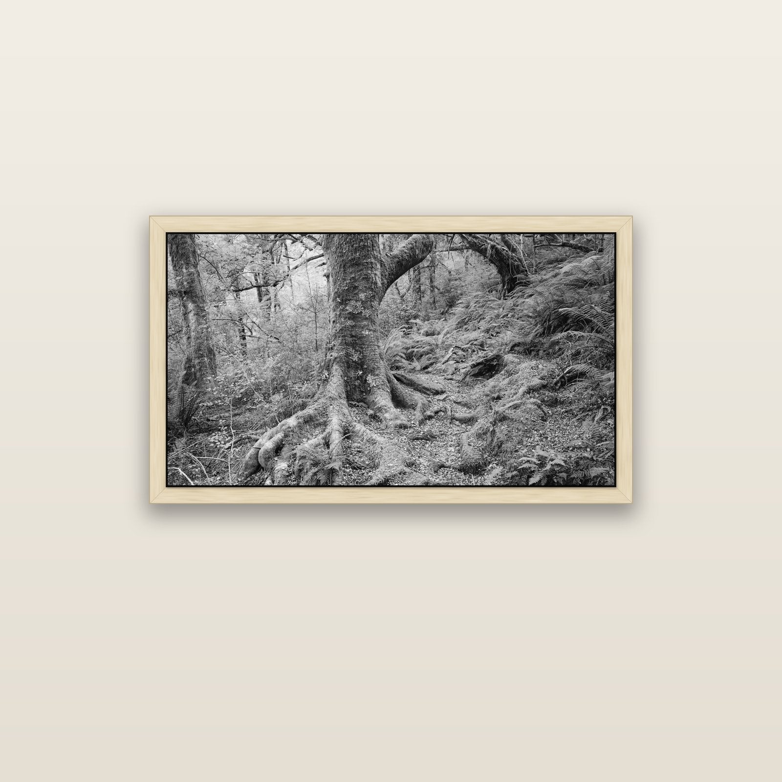 Enchanted Forest Path, Mt. Aspiring National Park — natural float frame canvas, 102 × 56 cm. New Zealand fine art landscape wall art by Stephen Milner.