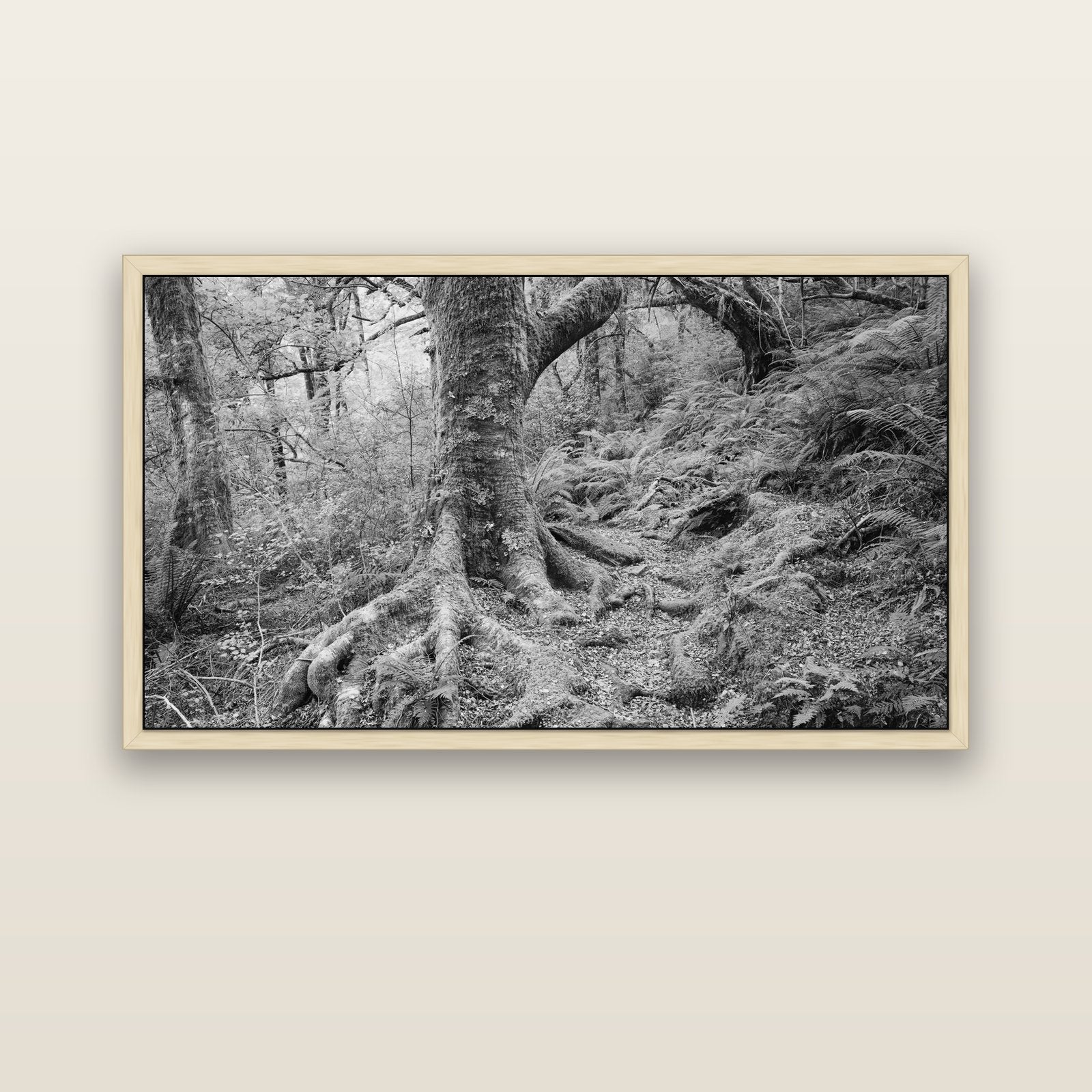 Enchanted Forest Path, Mt. Aspiring National Park — natural float frame canvas, 152 × 86 cm. New Zealand fine art landscape wall art by Stephen Milner.