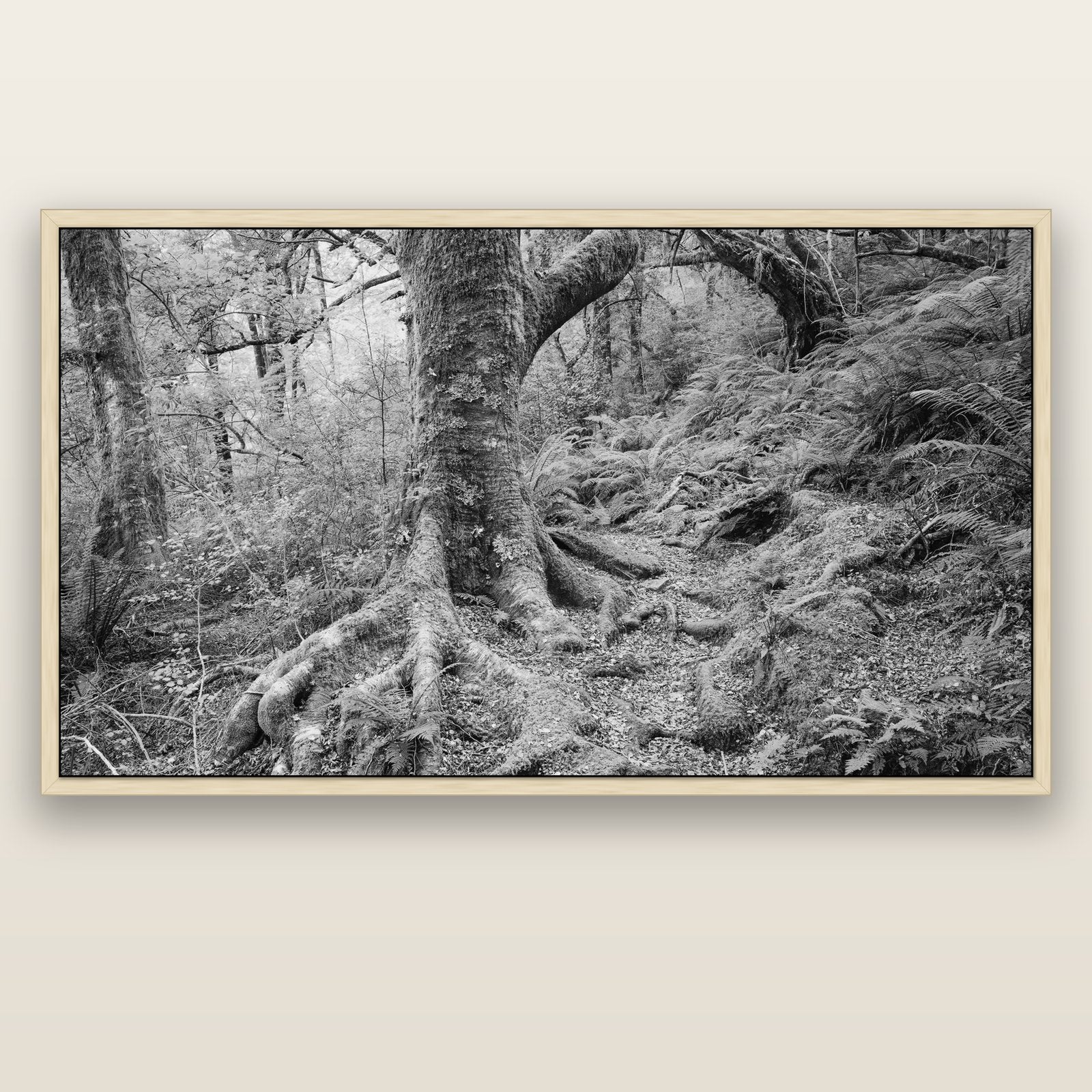 Enchanted Forest Path, Mt. Aspiring National Park — natural float frame canvas, 200 × 130 cm. New Zealand fine art landscape wall art by Stephen Milner.