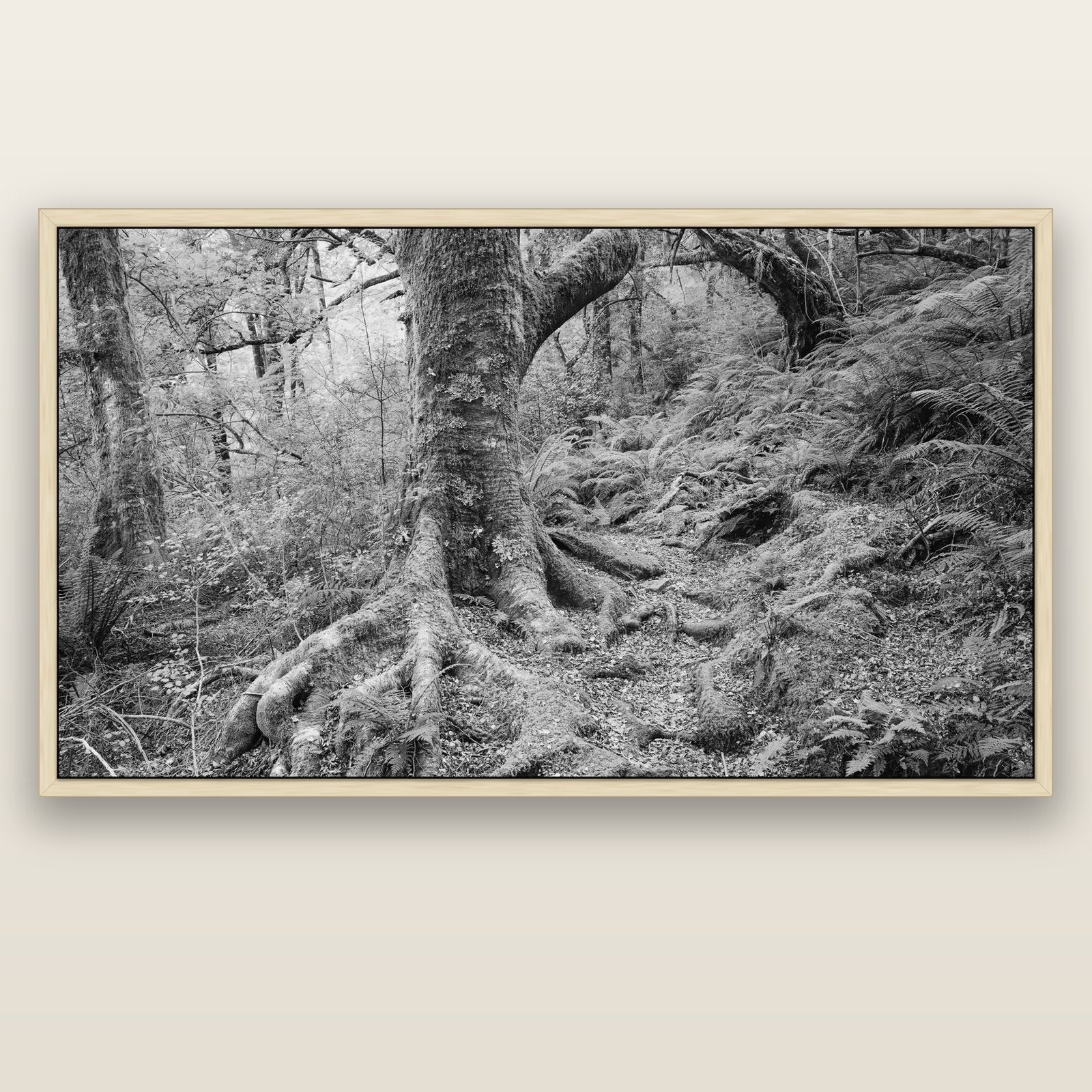 Enchanted Forest Path, Mt. Aspiring National Park — natural float frame canvas, 201 × 99 cm. New Zealand fine art landscape wall art by Stephen Milner.