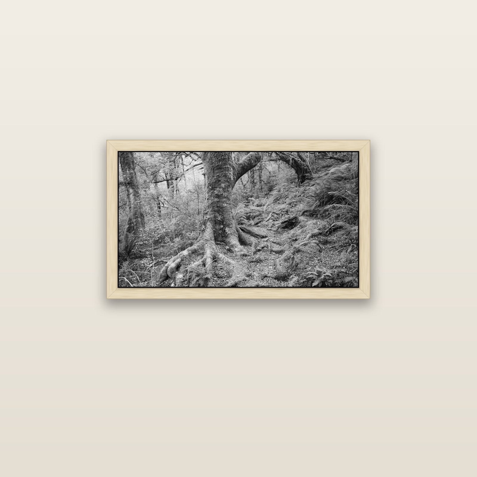 Enchanted Forest Path, Mt. Aspiring National Park — natural float frame canvas, 81 × 46 cm. New Zealand fine art landscape wall art by Stephen Milner.