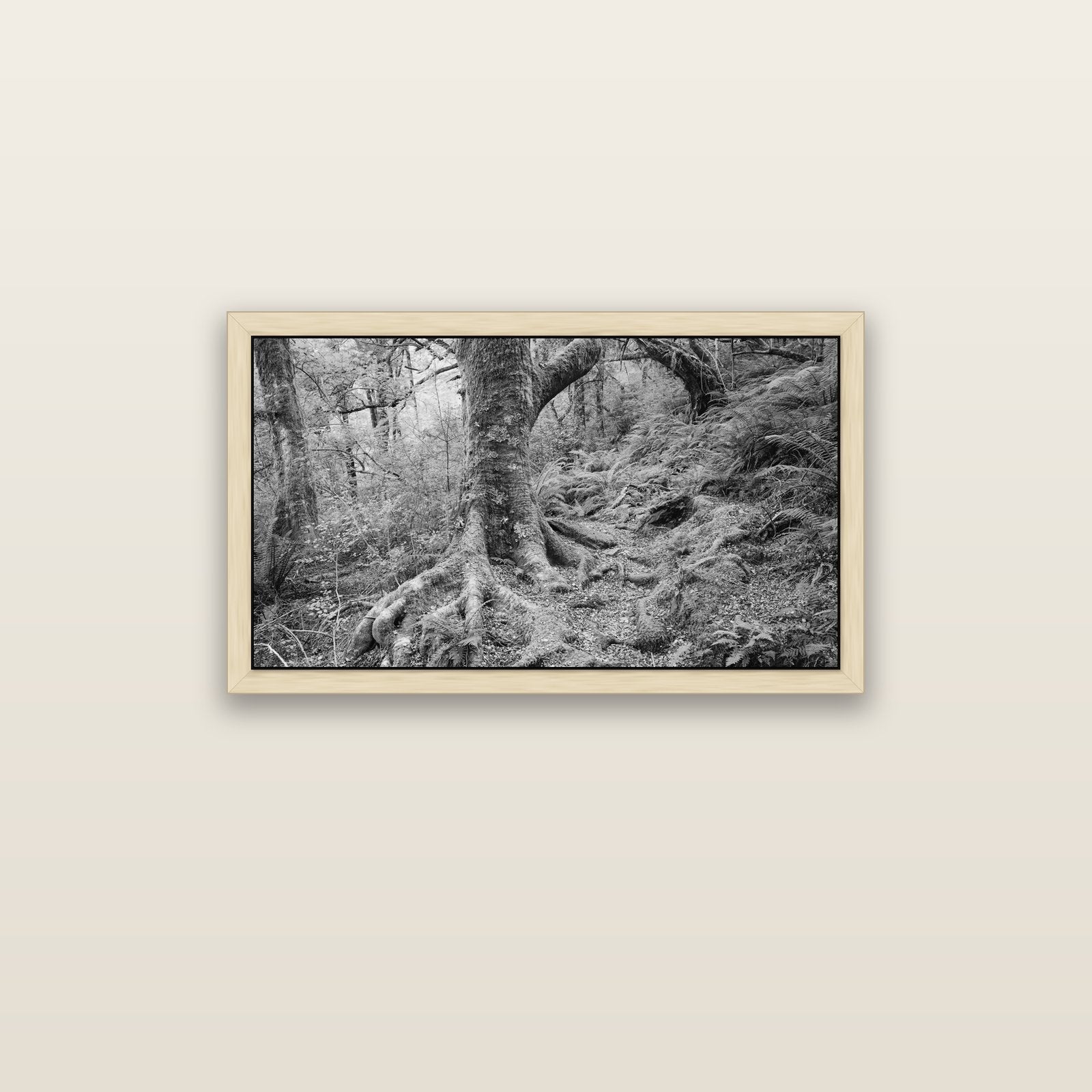 Enchanted Forest Path, Mt. Aspiring National Park — natural float frame canvas, 91 × 51 cm. New Zealand fine art landscape wall art by Stephen Milner.