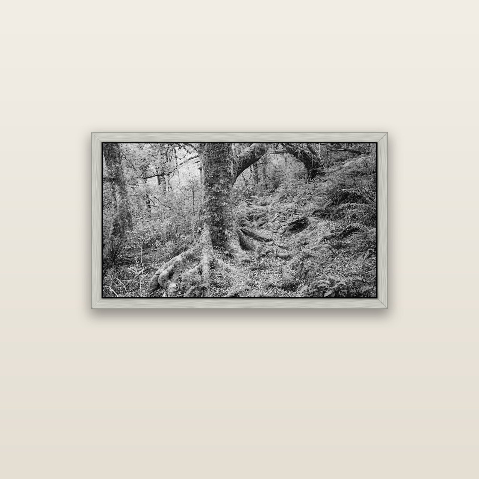 Enchanted Forest Path, Mt. Aspiring National Park — silver float frame canvas, 102 × 56 cm. New Zealand fine art landscape wall art by Stephen Milner.