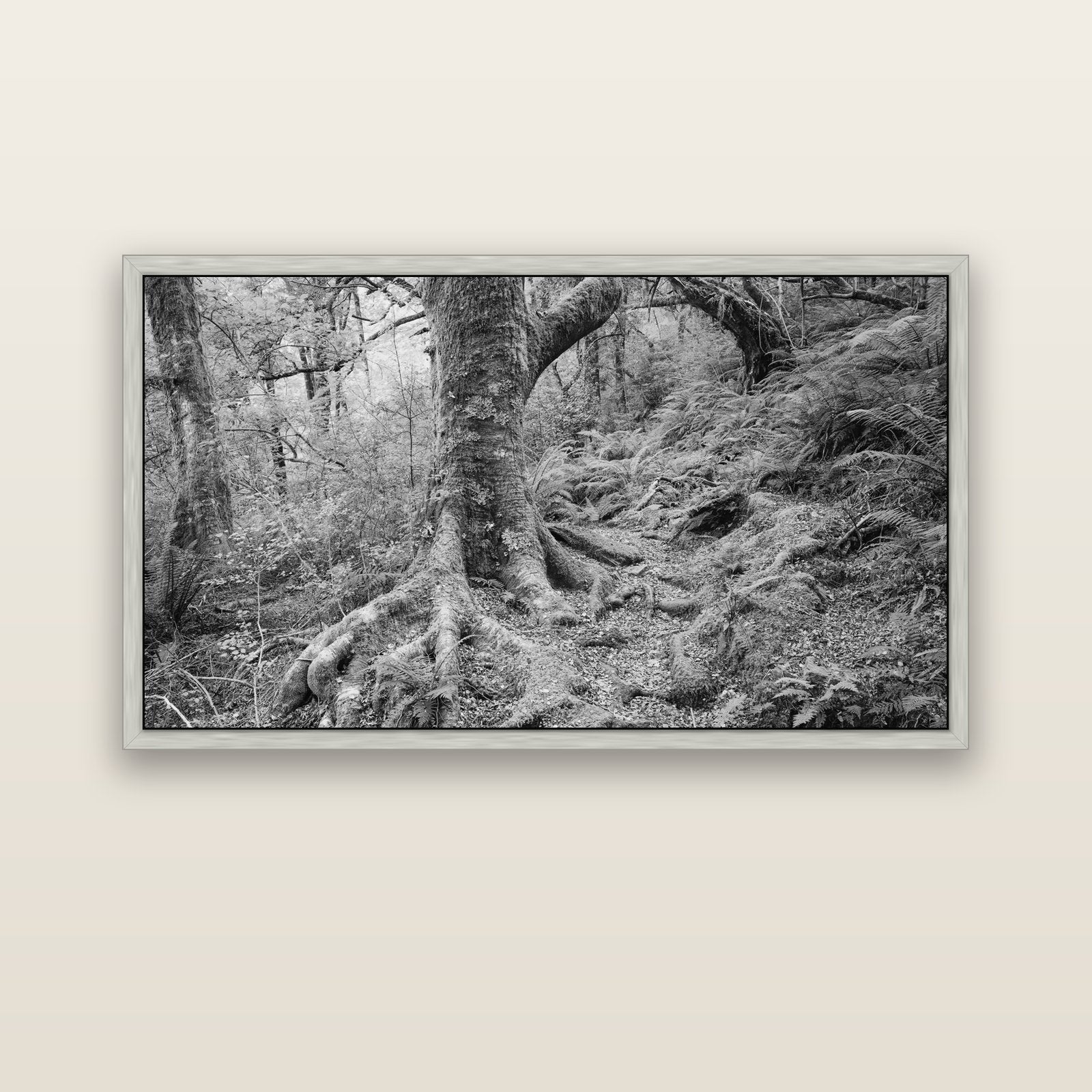 Enchanted Forest Path, Mt. Aspiring National Park — silver float frame canvas, 152 × 86 cm. New Zealand fine art landscape wall art by Stephen Milner.
