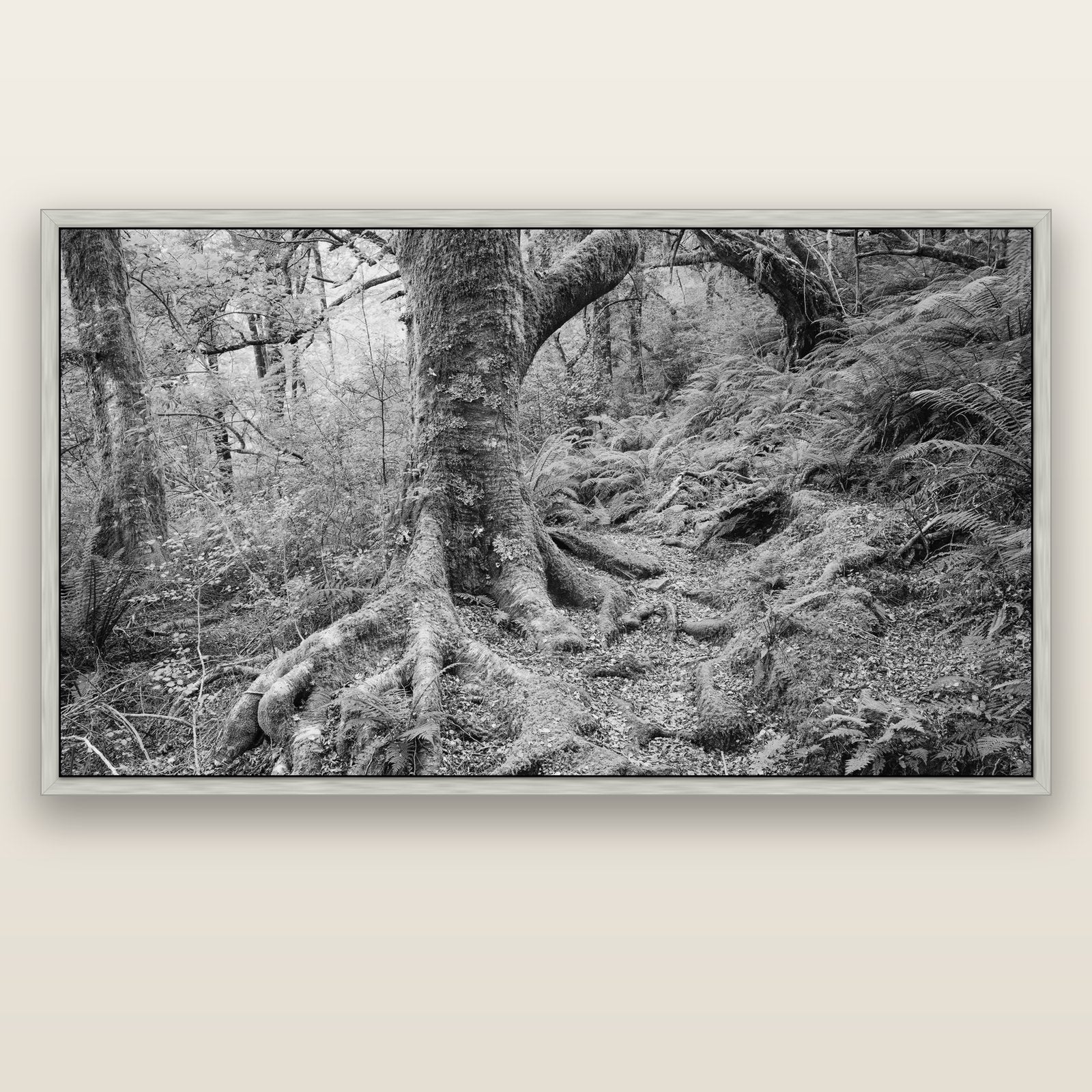 Enchanted Forest Path, Mt. Aspiring National Park — silver float frame canvas, 200 × 130 cm. New Zealand fine art landscape wall art by Stephen Milner.