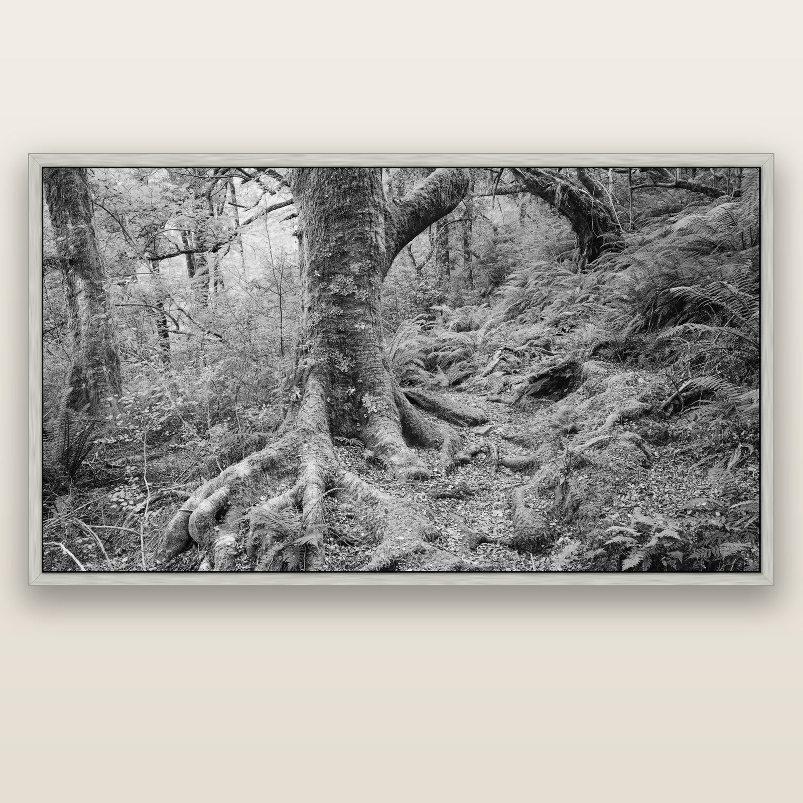 Enchanted Forest Path, Mt. Aspiring National Park — silver float frame canvas, 201 × 99 cm. New Zealand fine art landscape wall art by Stephen Milner.