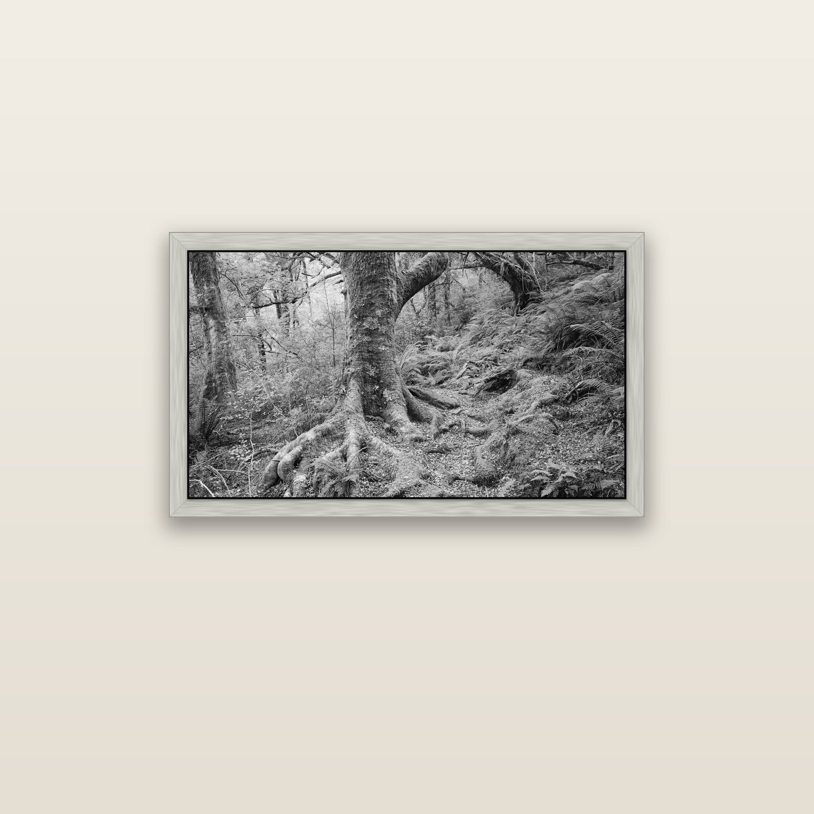 Enchanted Forest Path, Mt. Aspiring National Park — silver float frame canvas, 91 × 51 cm. New Zealand fine art landscape wall art by Stephen Milner.