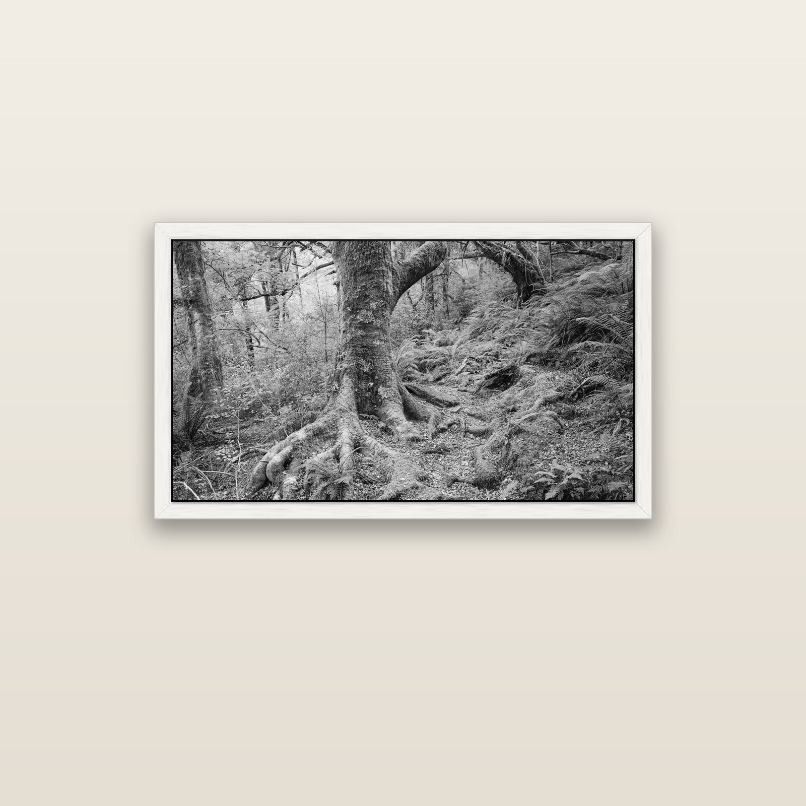 Enchanted Forest Path, Mt. Aspiring National Park — white float frame canvas, 102 × 56 cm. New Zealand fine art landscape wall art by Stephen Milner.