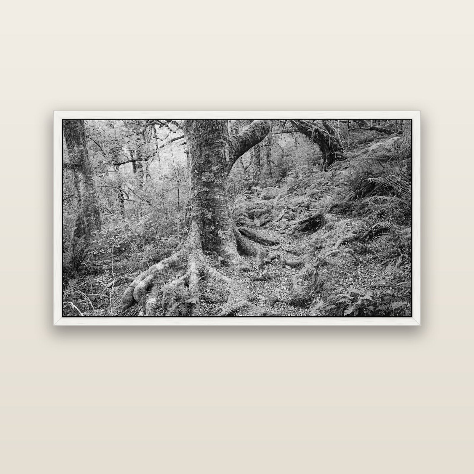 Enchanted Forest Path, Mt. Aspiring National Park — white float frame canvas, 152 × 86 cm. New Zealand fine art landscape wall art by Stephen Milner.