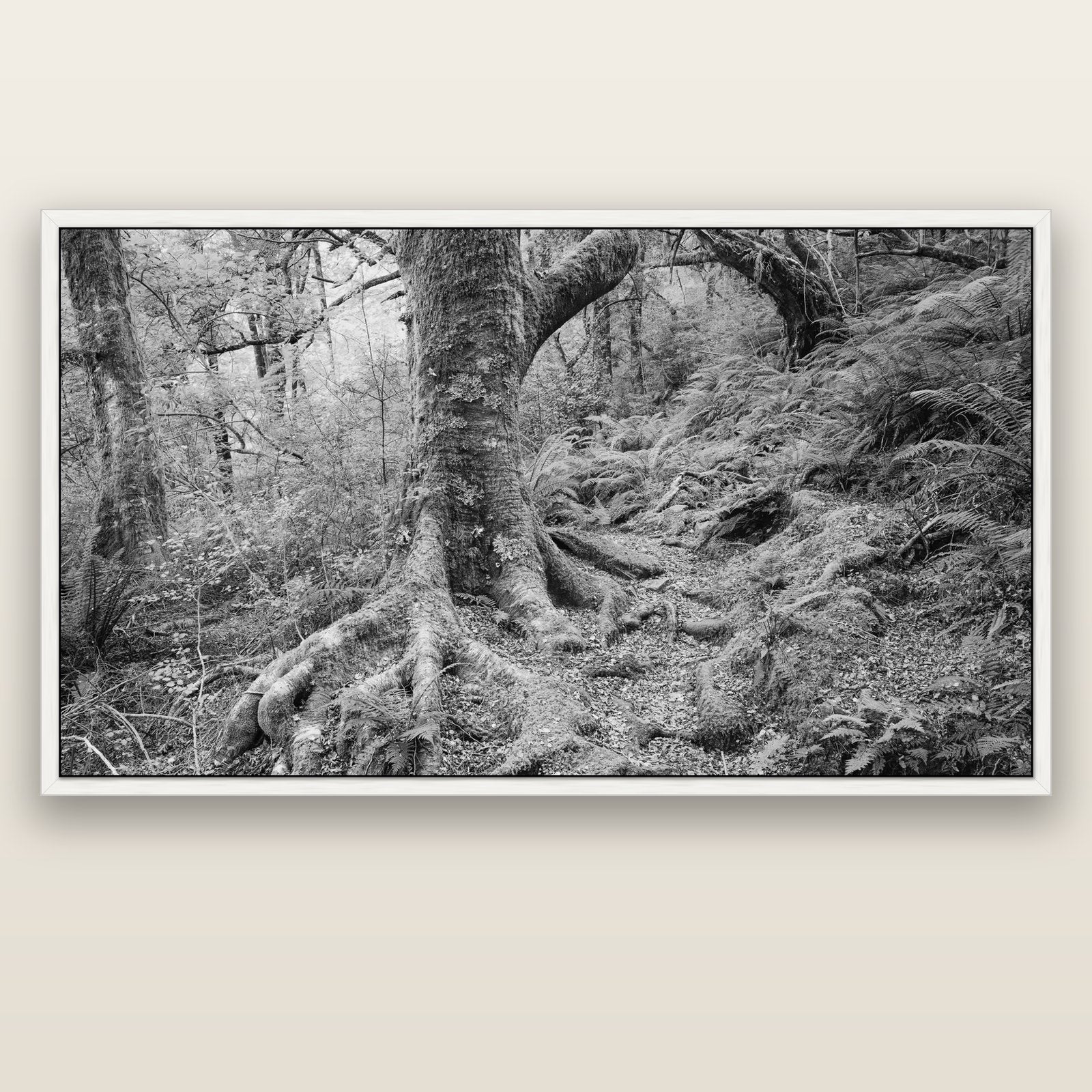 Enchanted Forest Path, Mt. Aspiring National Park — white float frame canvas, 200 × 130 cm. New Zealand fine art landscape wall art by Stephen Milner.