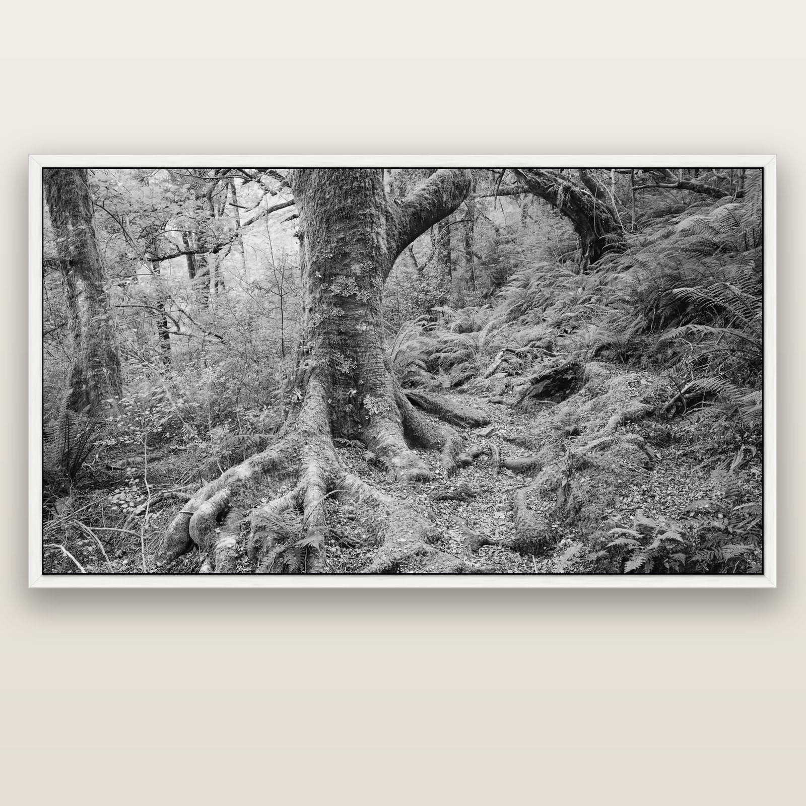 Enchanted Forest Path, Mt. Aspiring National Park — white float frame canvas, 201 × 99 cm. New Zealand fine art landscape wall art by Stephen Milner.
