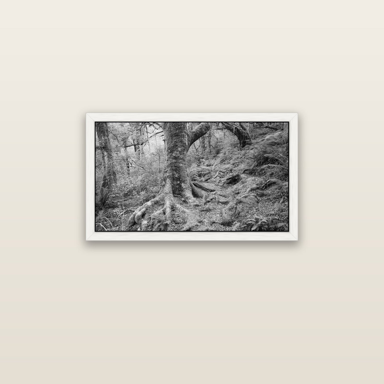 Enchanted Forest Path, Mt. Aspiring National Park — white float frame canvas, 81 × 46 cm. New Zealand fine art landscape wall art by Stephen Milner.